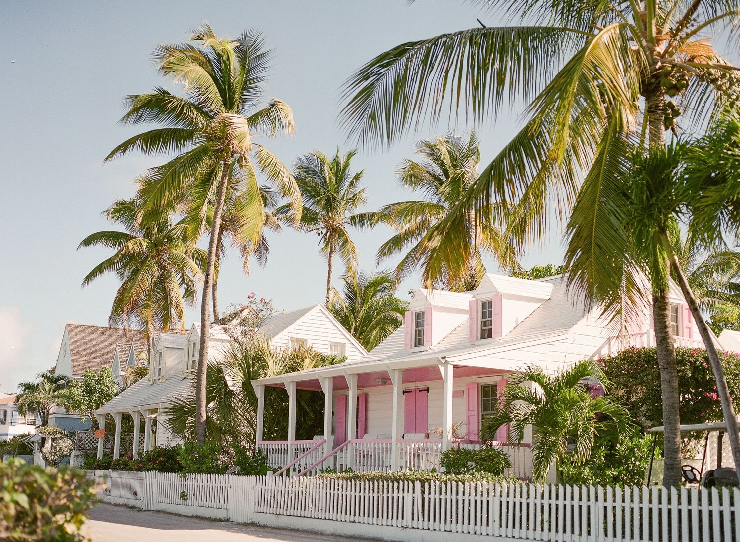 Charming pink beach cottage with white picket fence and towering palm trees in tropical Key West setting.