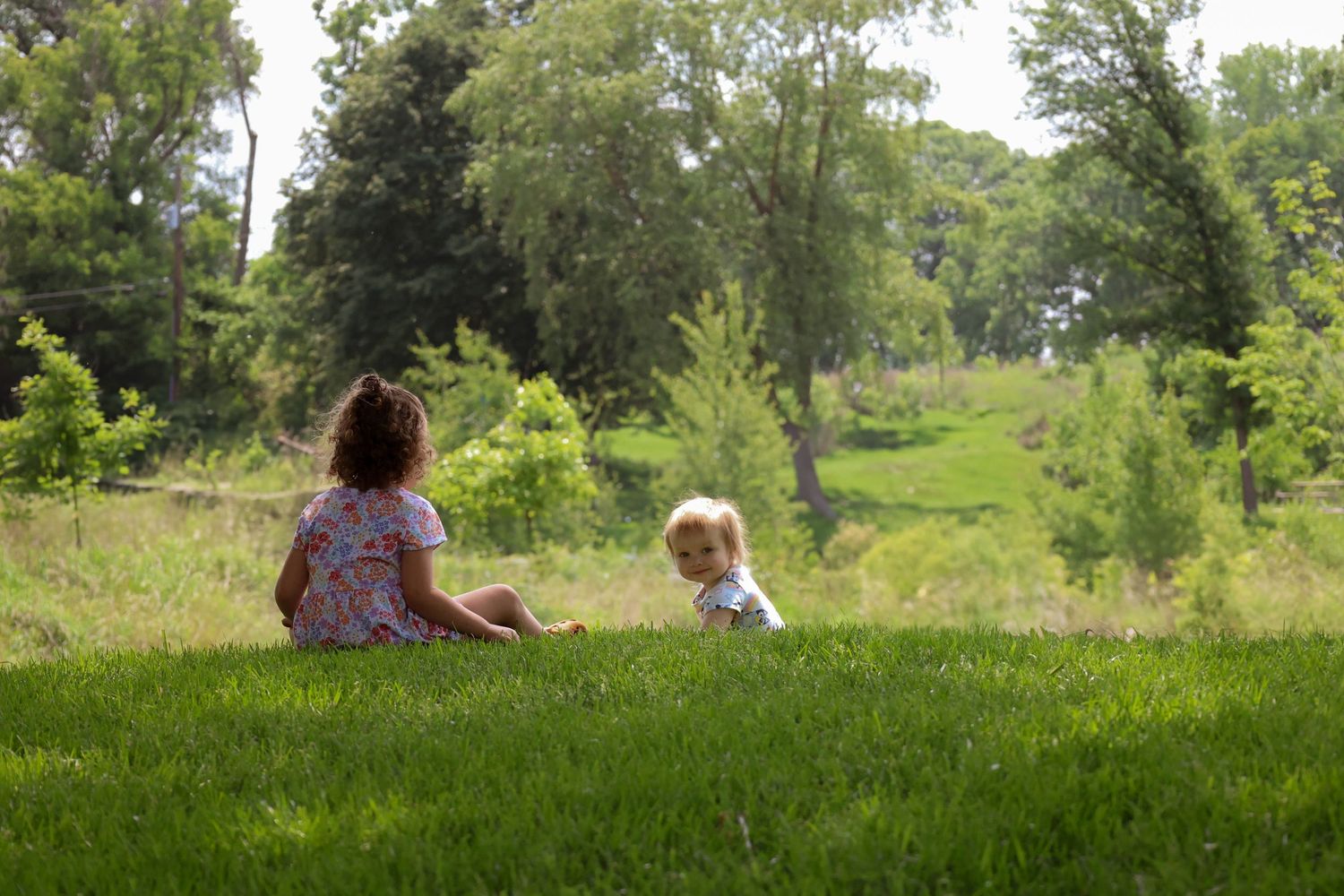 Two people sit together on a grassy hill overlooking a scenic natural landscape on a sunny summer day.