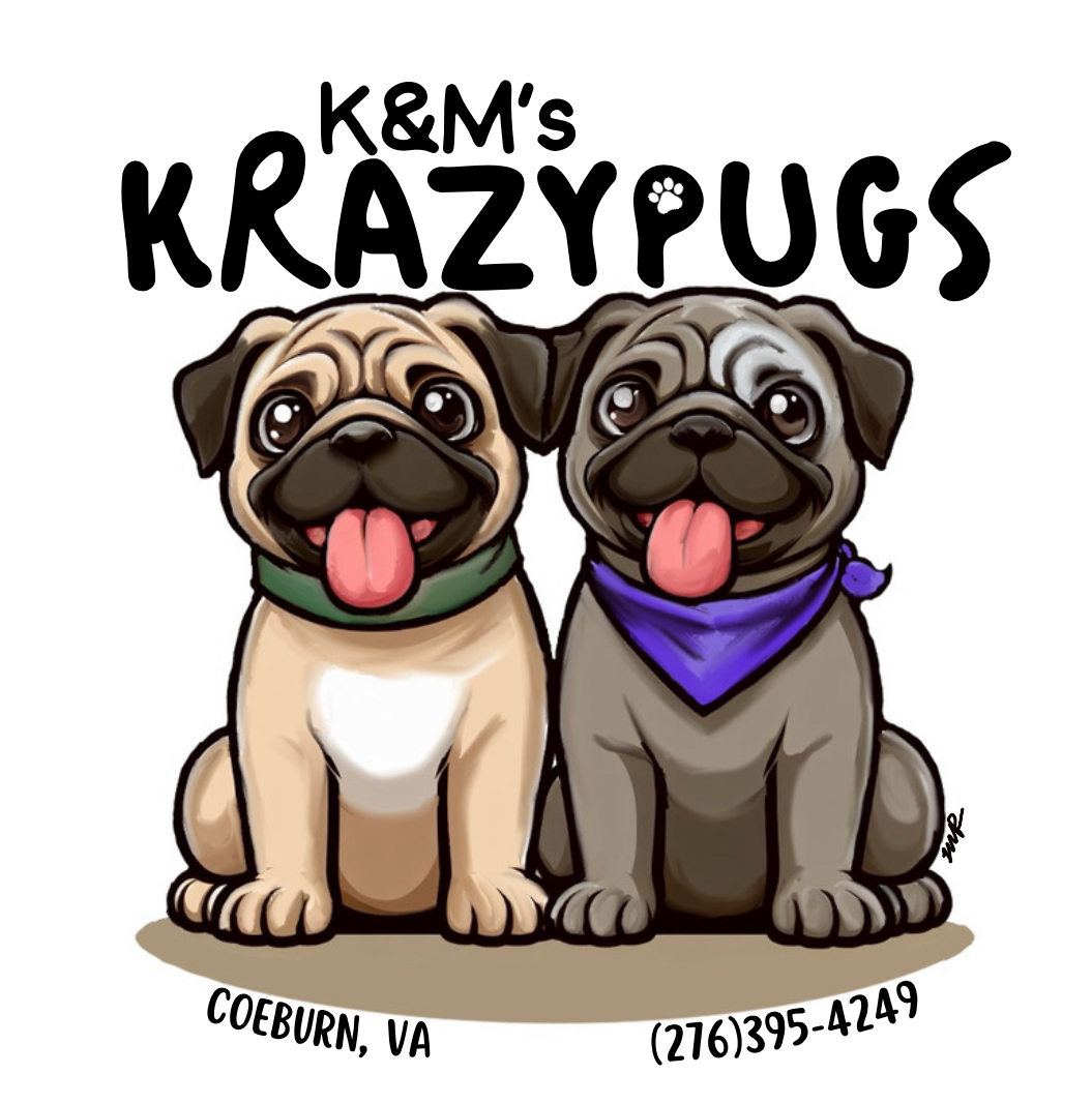 Cartoon illustration of two pug dogs wearing bandanas with business contact information.