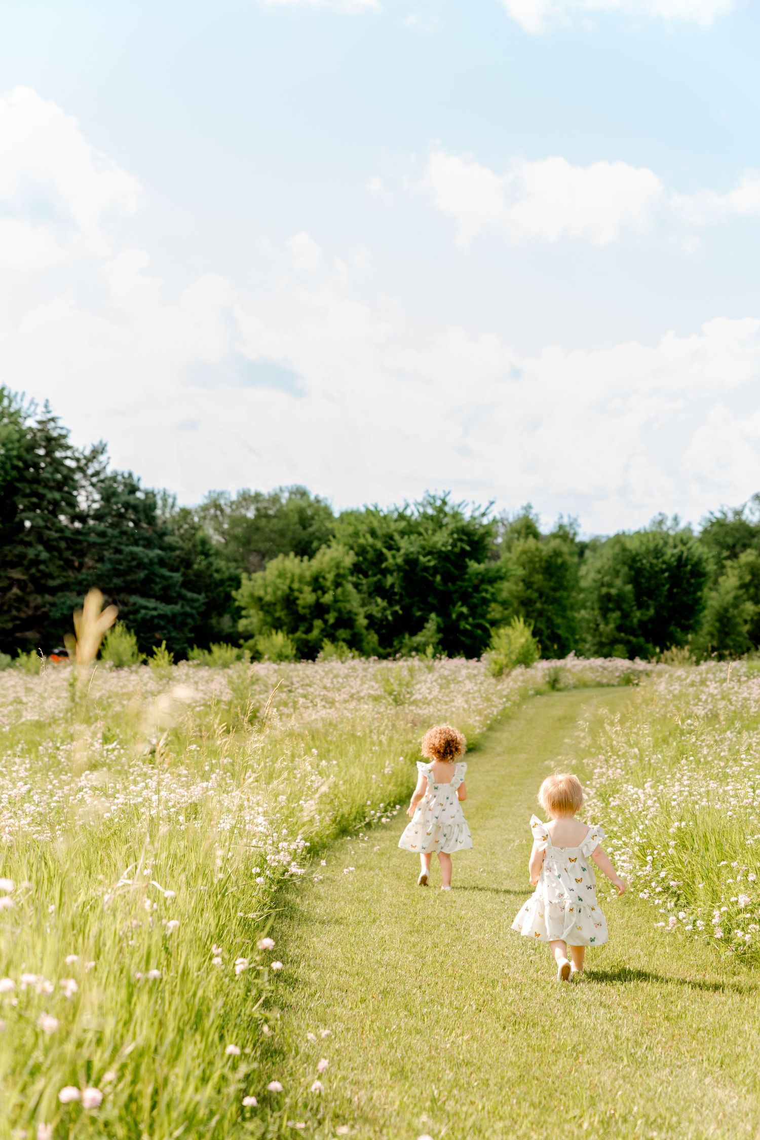 Two small figures walking down a grassy path through a wildflower meadow on a sunny summer day.