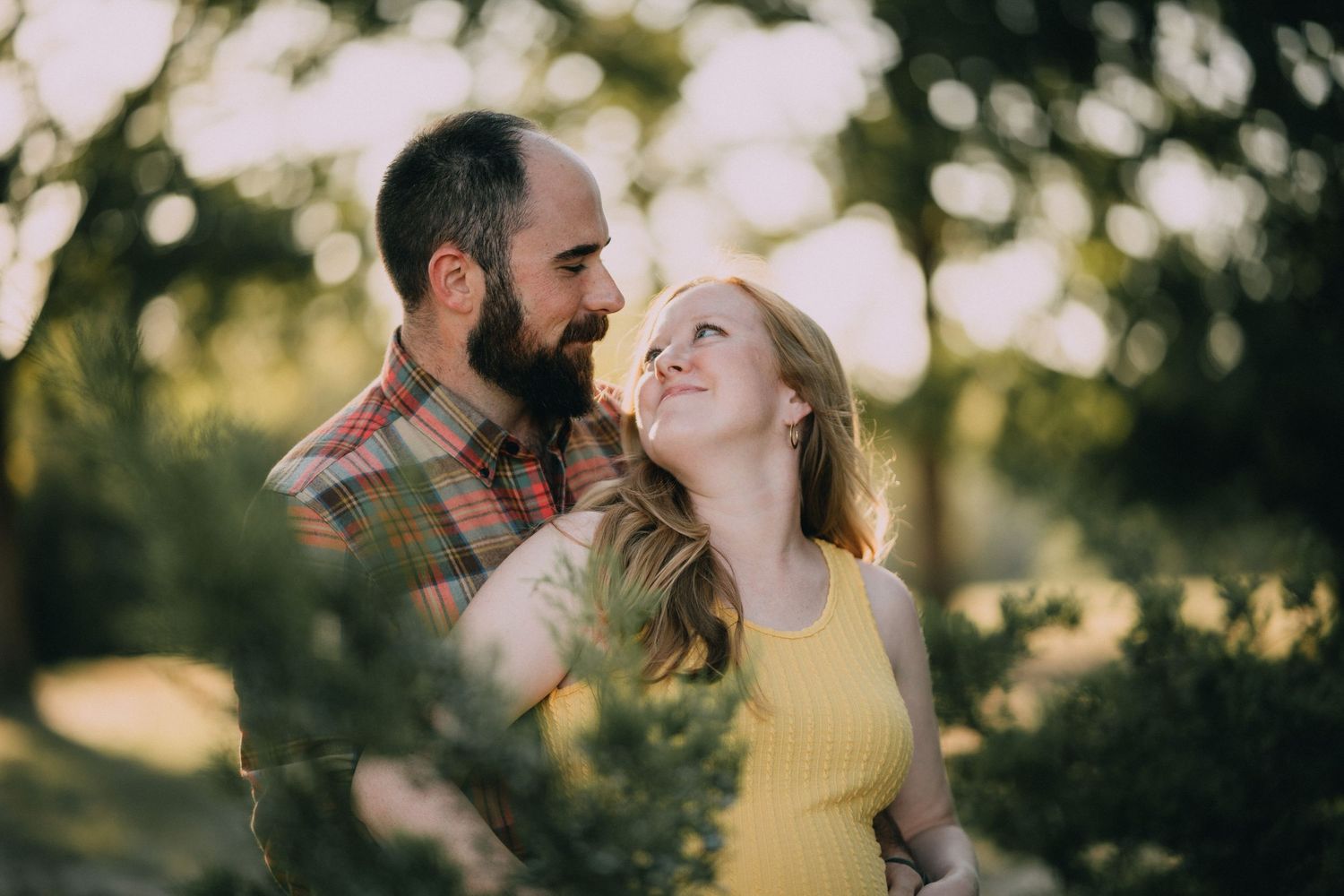 Candid outdoor family moment captured during golden hour beneath trees.