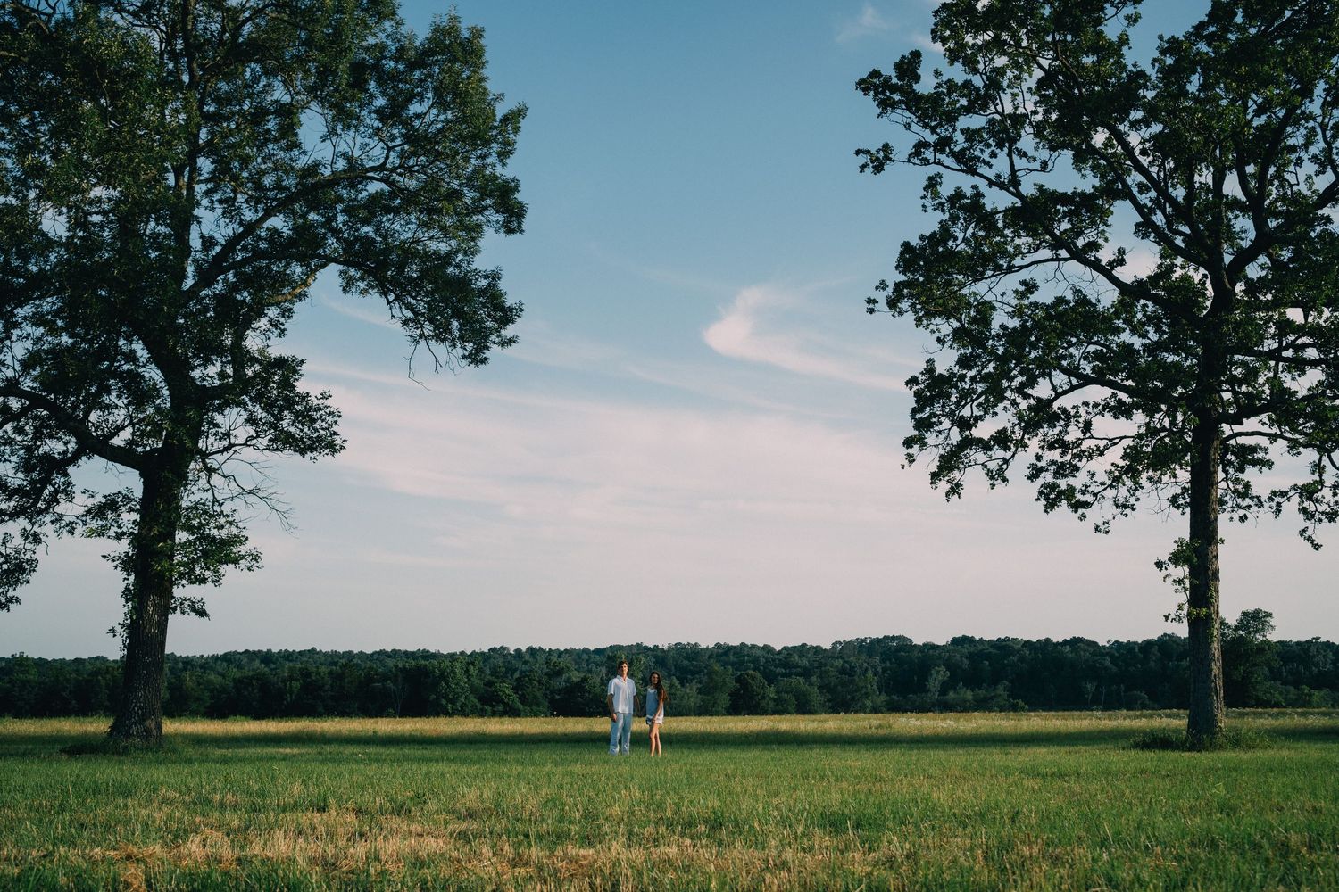 Scenic rural landscape with scattered trees and green fields under blue skies.