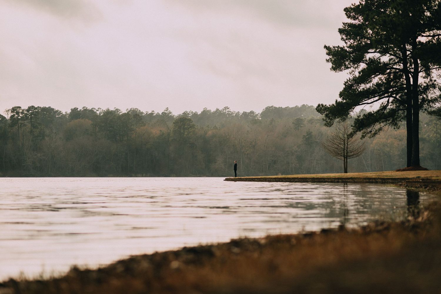 Panoramic view of a misty lake surrounded by pine trees on an overcast day.
