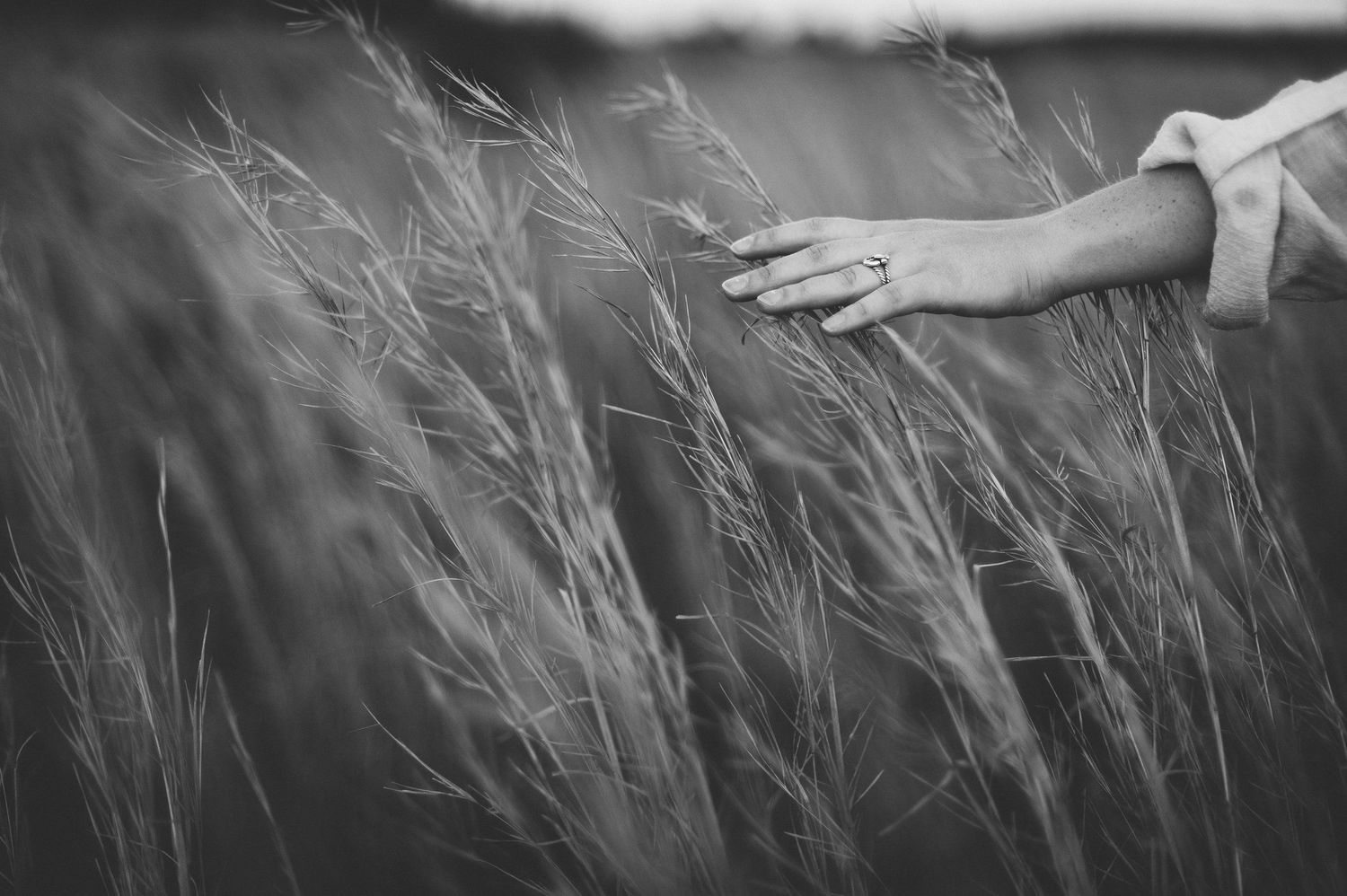Black and white close-up of wind blowing through tall grass in a field.