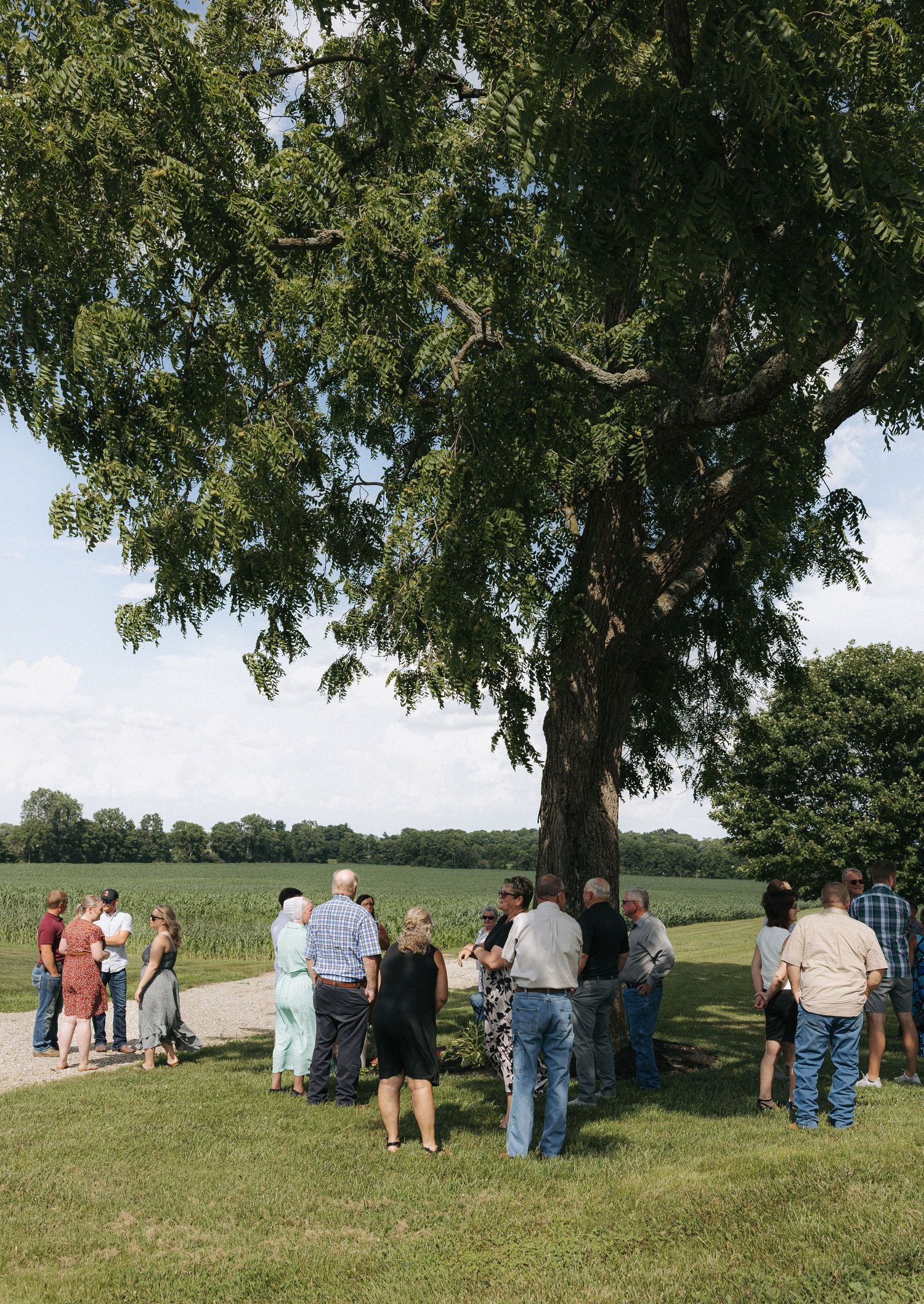 Wedding guests mingling under a large shade tree beside an open field on a sunny summer day.