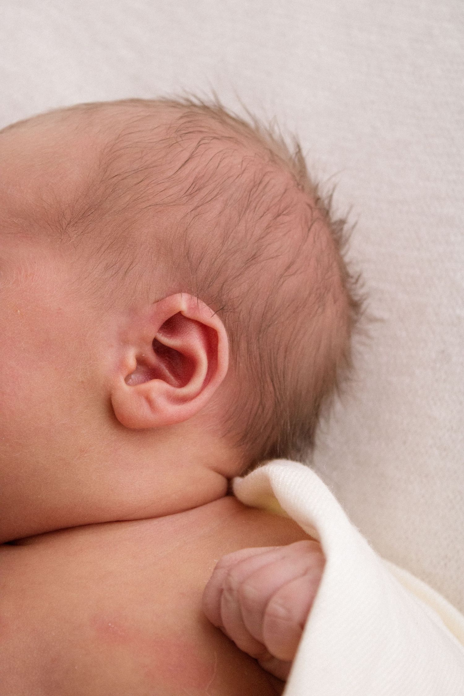 Close up photo of newborn baby's ear and soft hair against light background.