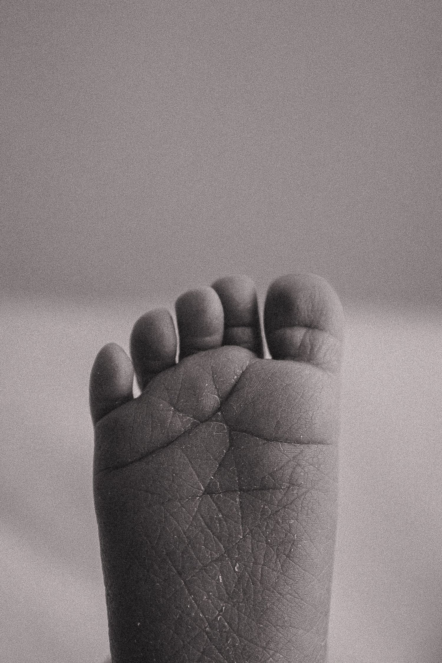 A black and white close-up photograph of a baby's toes showing delicate skin texture and lines.