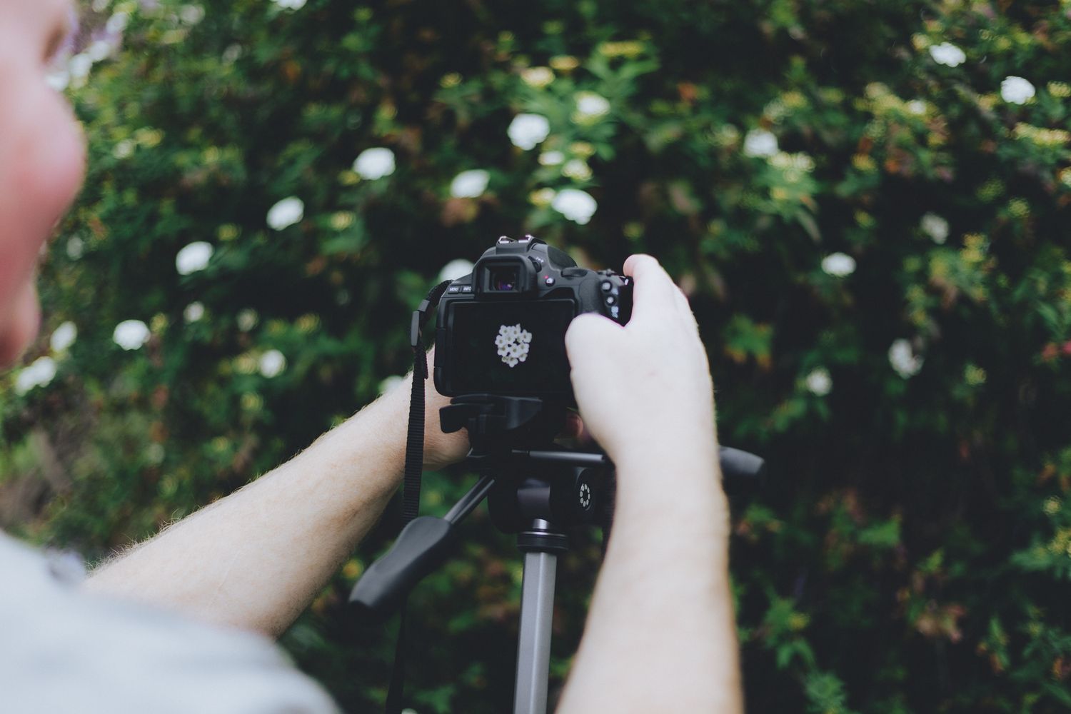 beginner photography student learning macro photography - Zara King Photography