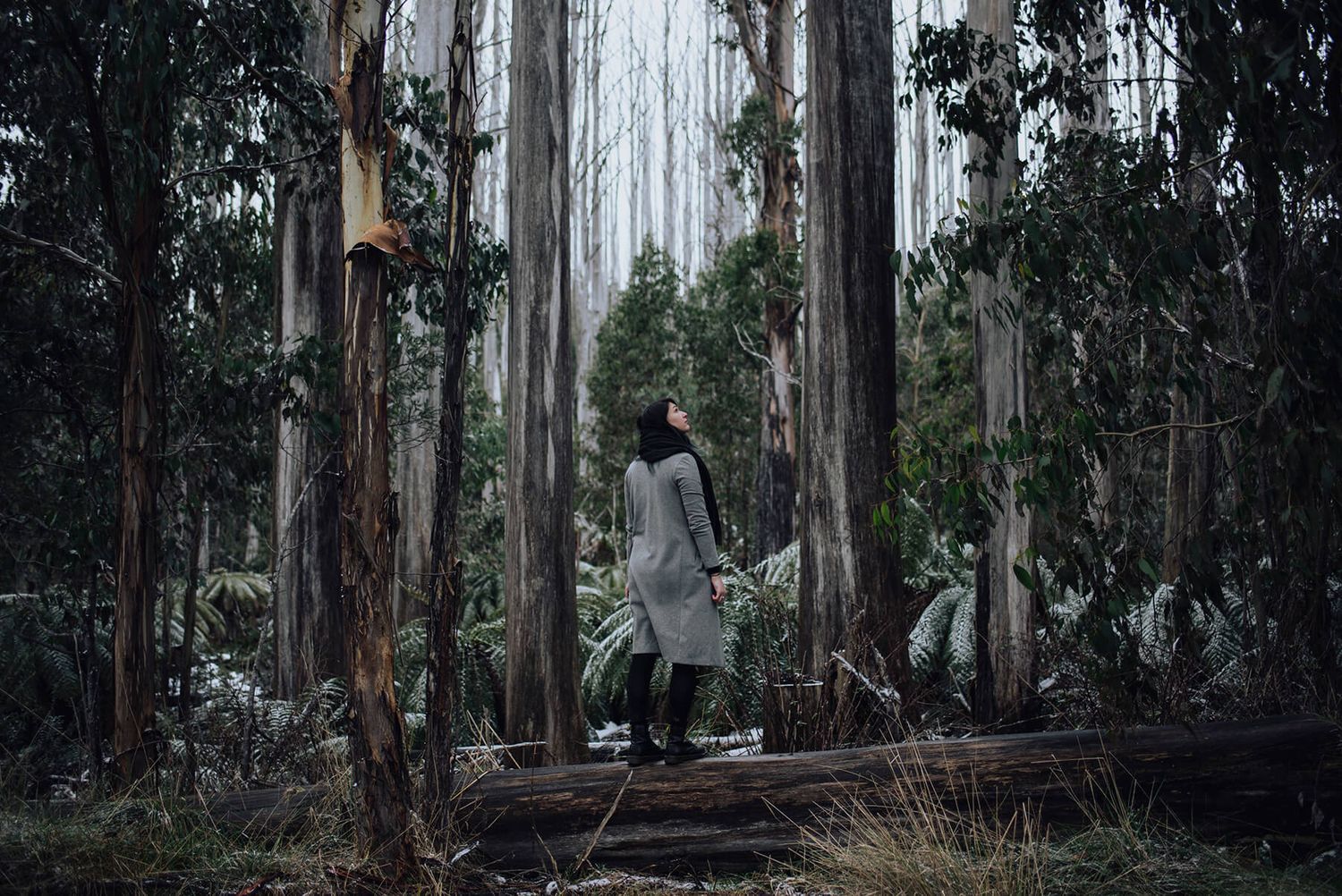 Girl standing on fallen tree in Yarra Ranges, Victoria - Zara King Photography