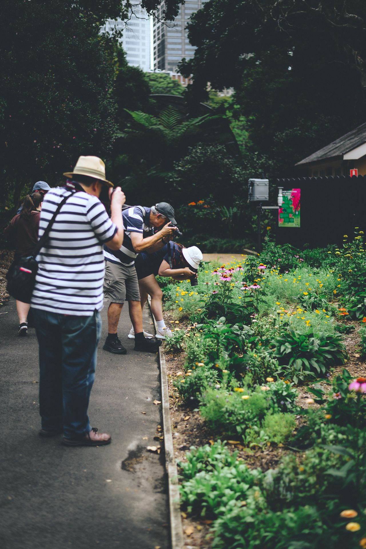beginner photography students learning macro photography - Zara King Photography
