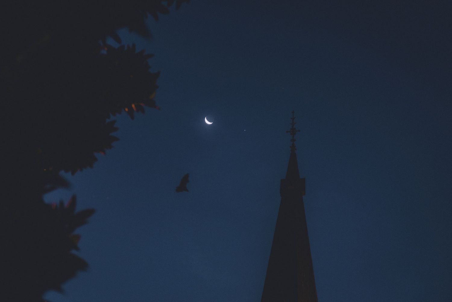 church pyre with crescent moon and stars and bat flying past - Zara King Photography, Sydney Australia
