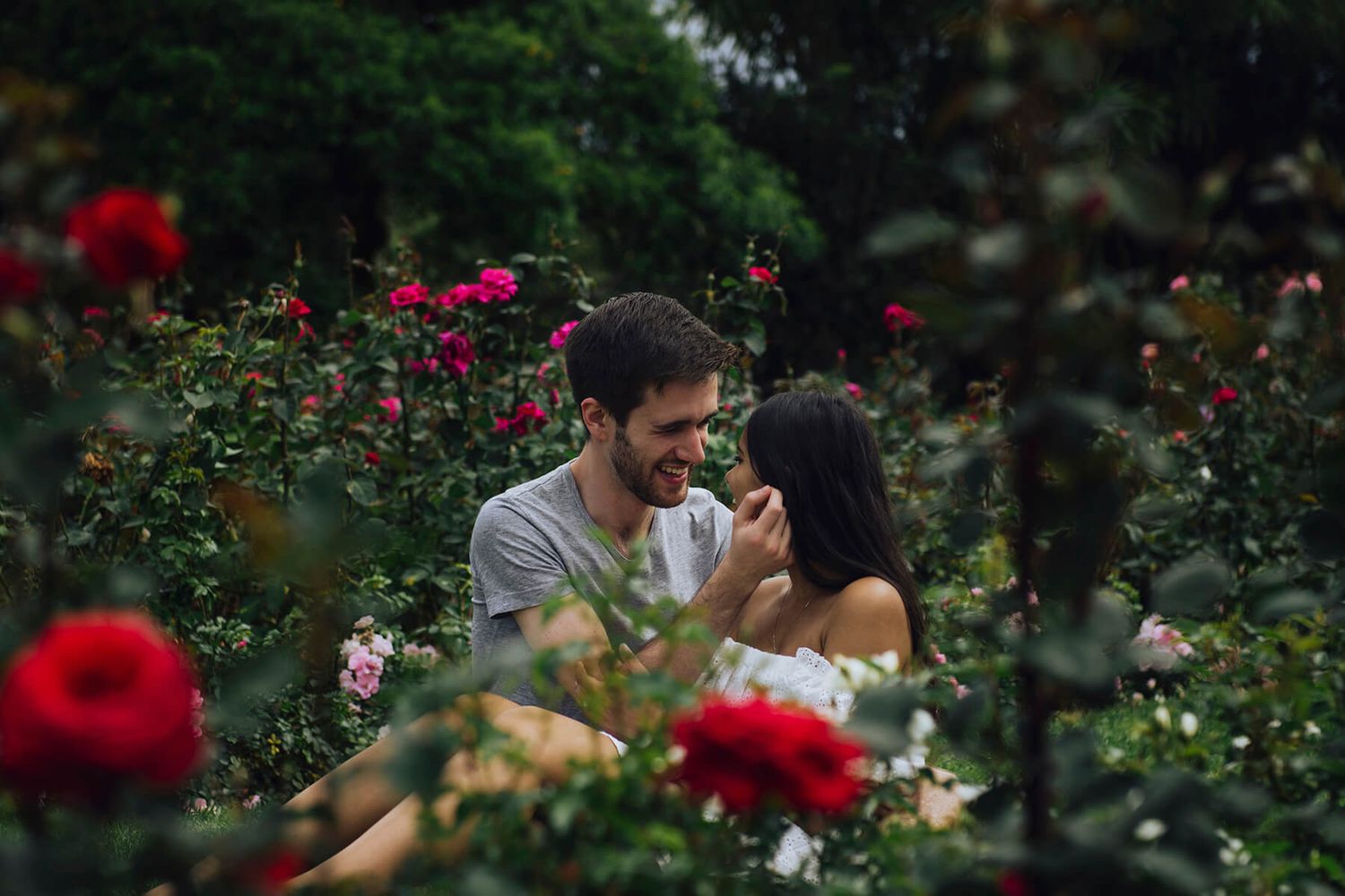 Couple sitting surrounded by roses in Centennial Park - Zara King Photography, Sydney Australia
