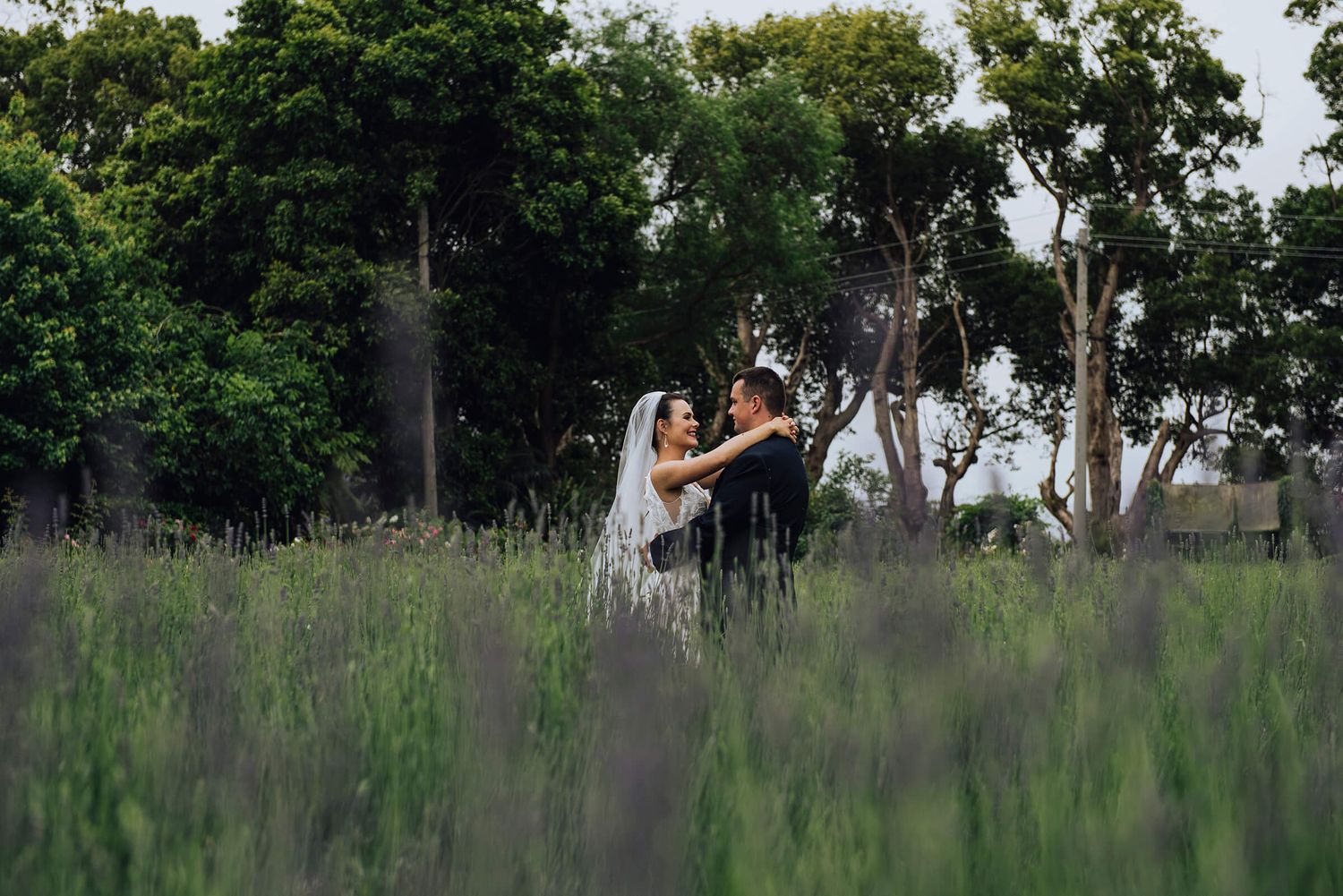 Bride and groom in lavender field at The Merribee in Nowra - Zara King Photography, Sydney Australia