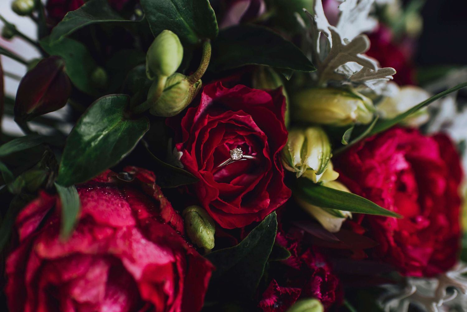 Close up of bride's engagement ring inside a red rose - Zara King Photography, Sydney Australia