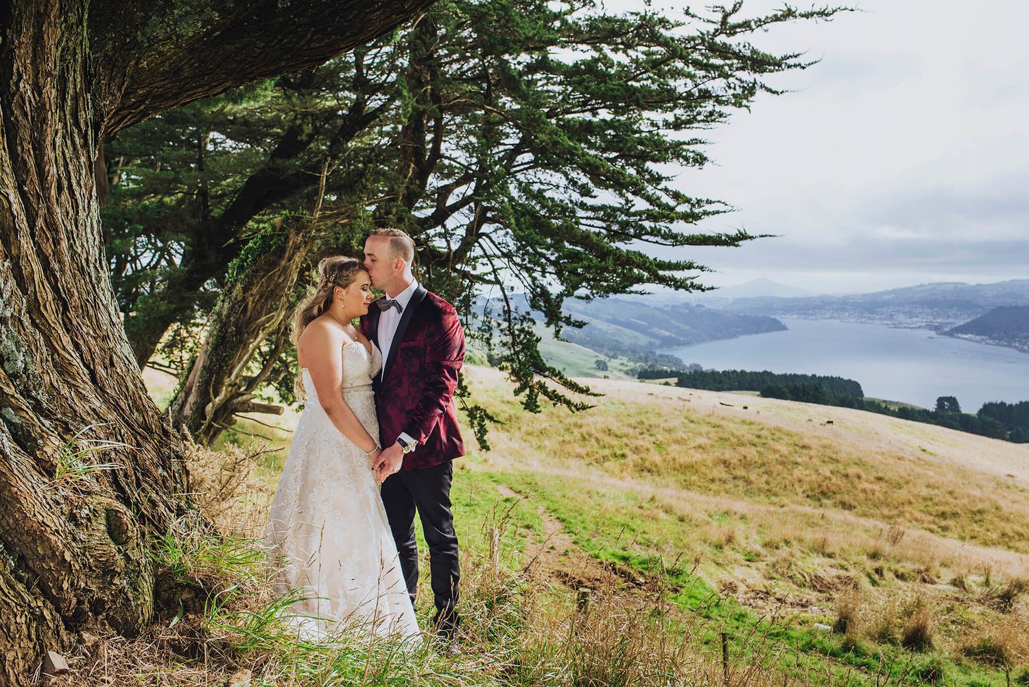 Groom kissing bride's forehead under tree in Otago Harbour, NZ - Zara King Photography