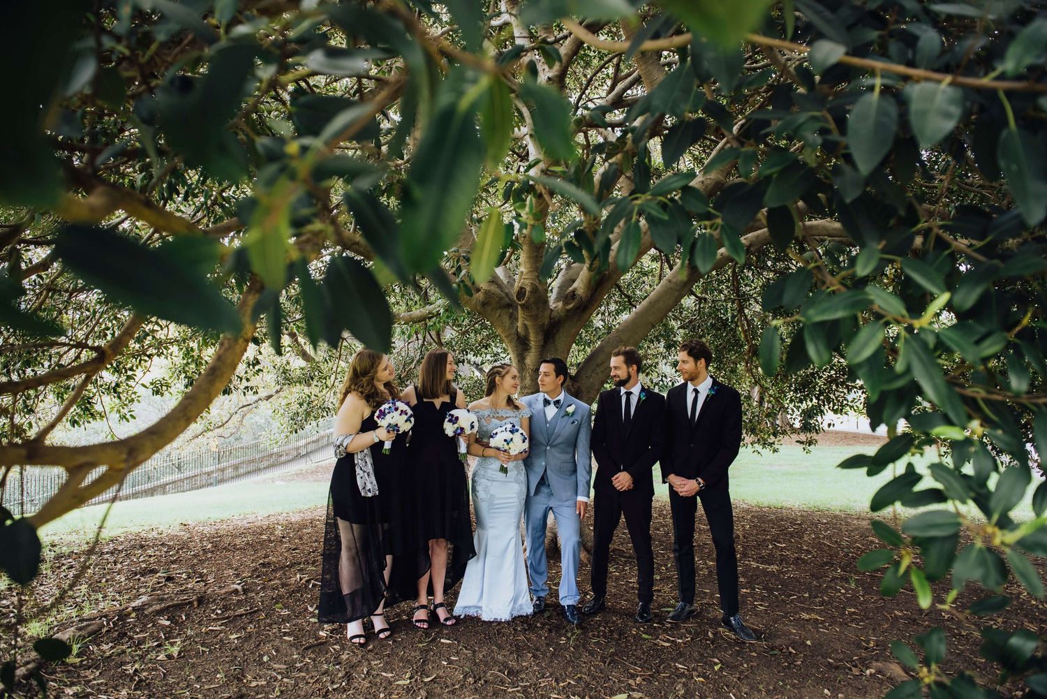Bridal party all laughing under tree at Observatory Hill Park - Zara King Photography, Sydney Australia