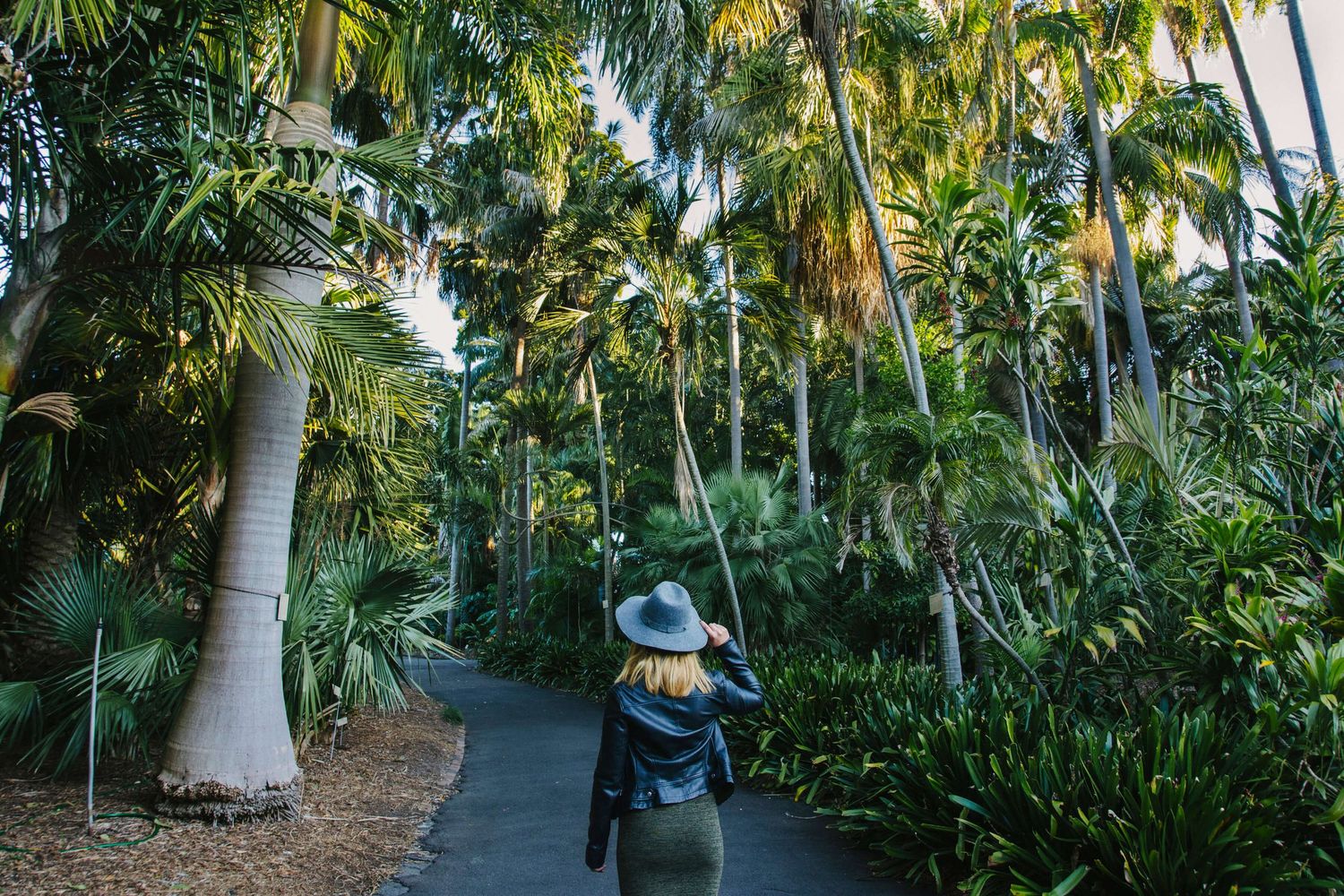 Girl holding hat walking away surrounded by palm trees in Botanical Gardens - Zara King Photography, Sydney Australia