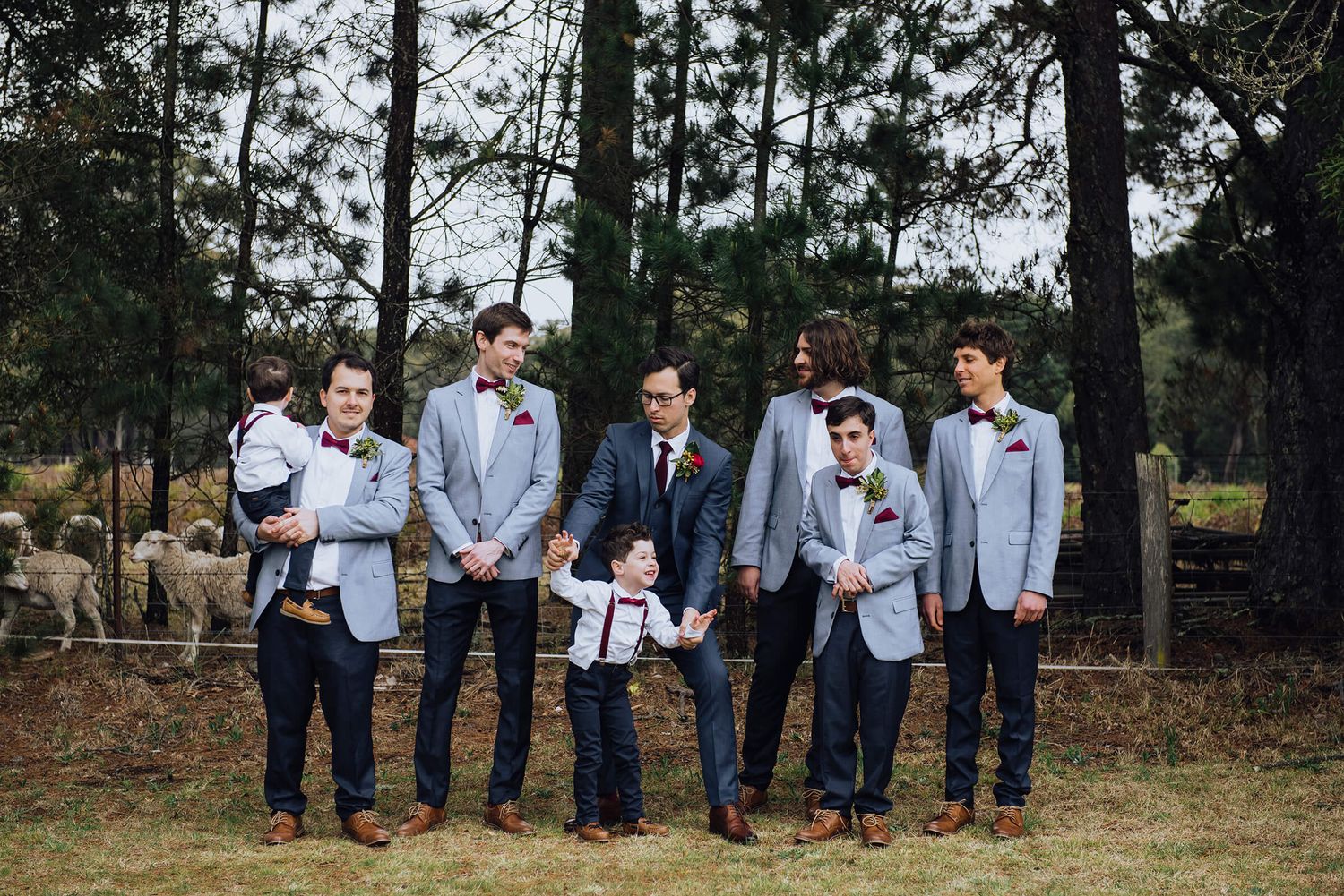 Groom and groomsmen dancing in front of sheep in Southern Highlands - Zara King Photography, Sydney Australia