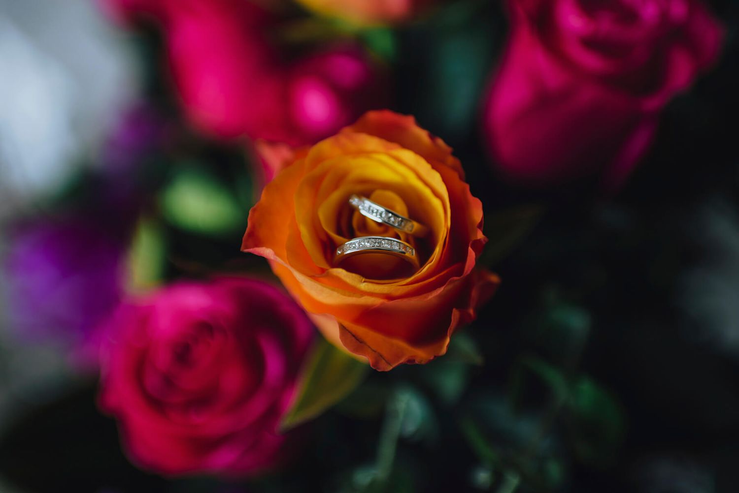 Two wedding rings inside an orange rose bud - Zara King Photography, Sydney Australia