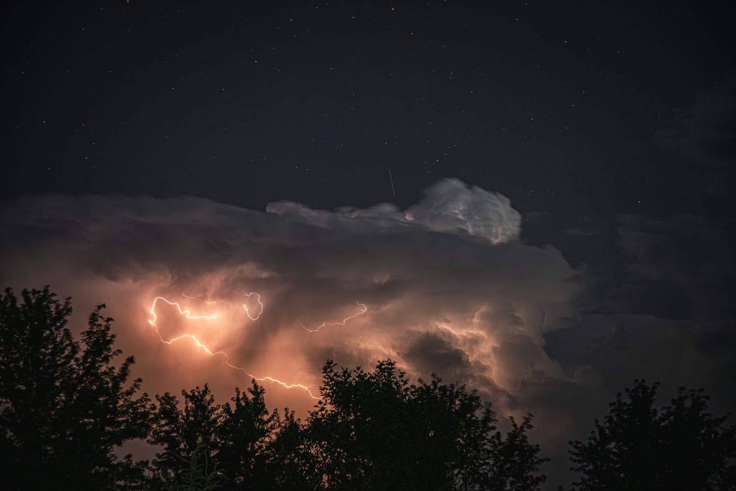 Lightning illuminates towering storm clouds above dark silhouetted trees on a dramatic night.