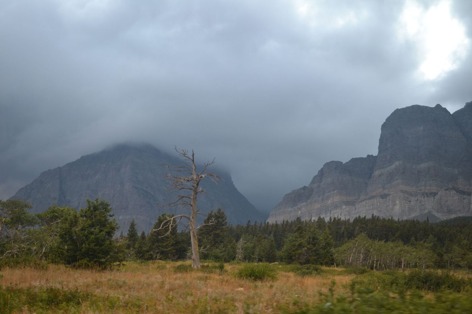 Dramatic stormy clouds over rugged mountain peaks with dead tree and golden meadow in foreground.  Glacier National Park Montana.