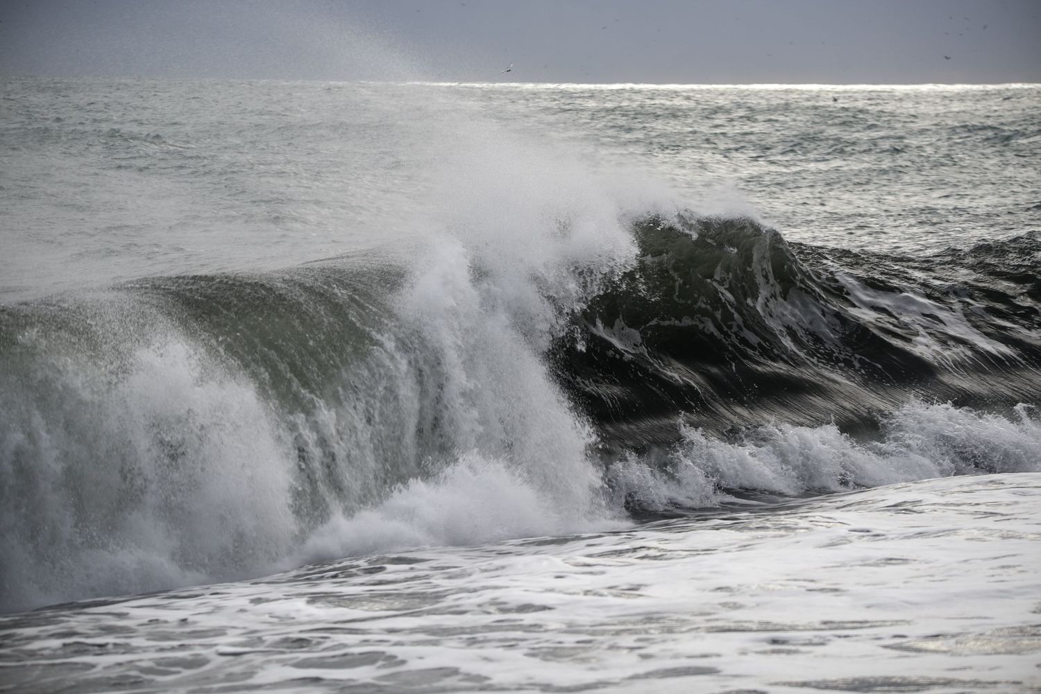 A powerful crashing ocean wave with white sea spray against a stormy sky.