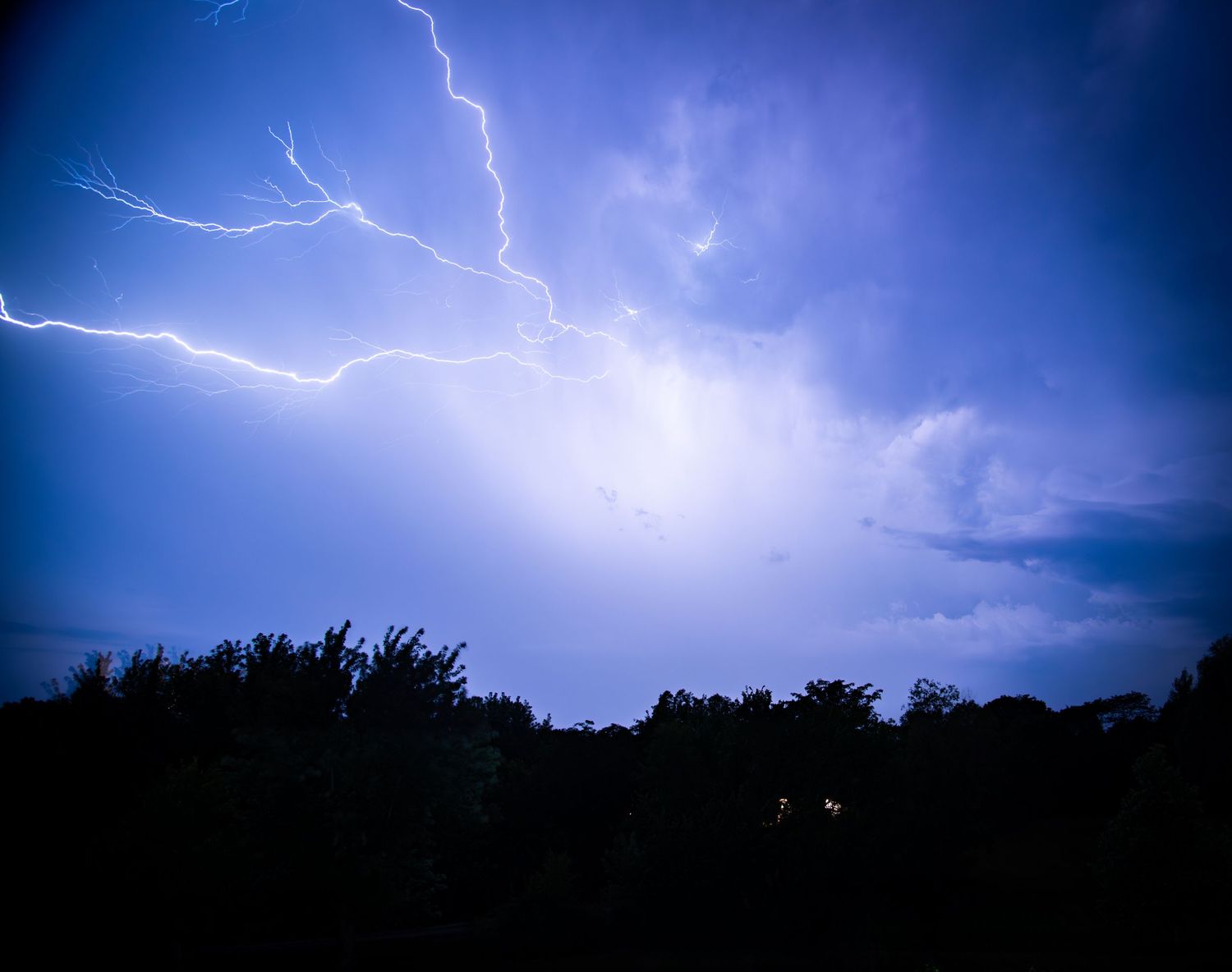 Powerful lightning bolt branching across a vivid blue stormy sky above dark tree silhouettes.
