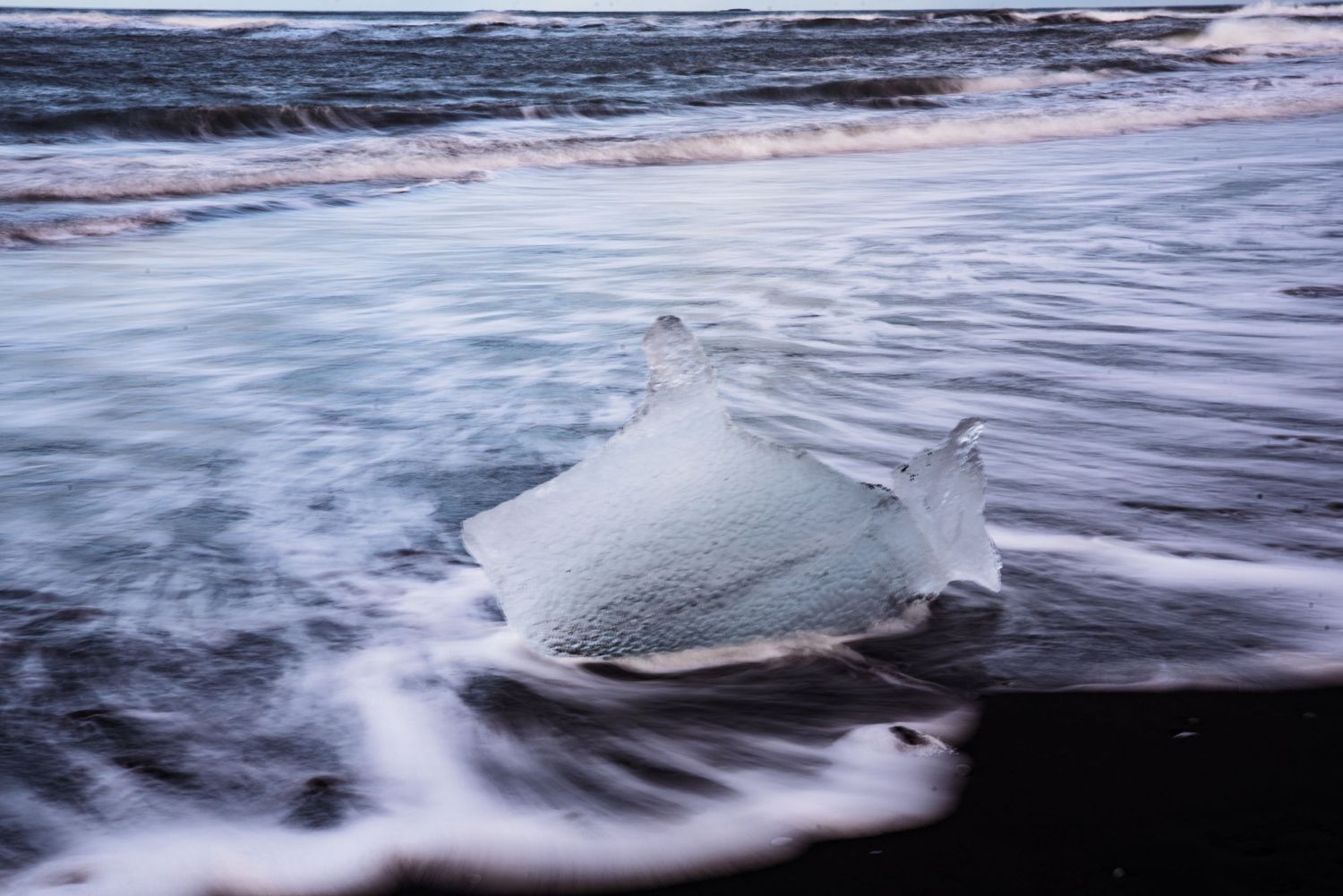 A piece of glacial ice washed ashore on Iceland's famous black sand Diamond Beach with ocean waves.