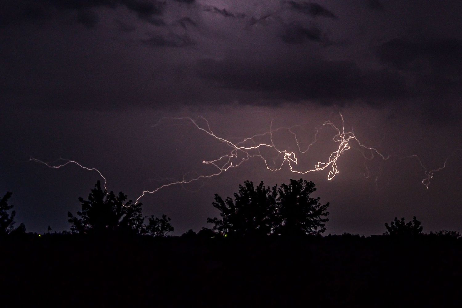 Branching cloud-to-cloud lightning spreads across a purple night sky above silhouetted trees.