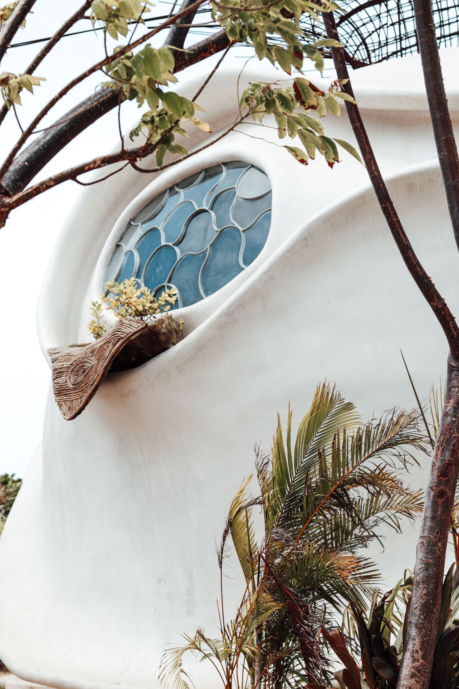 window futuristic organic