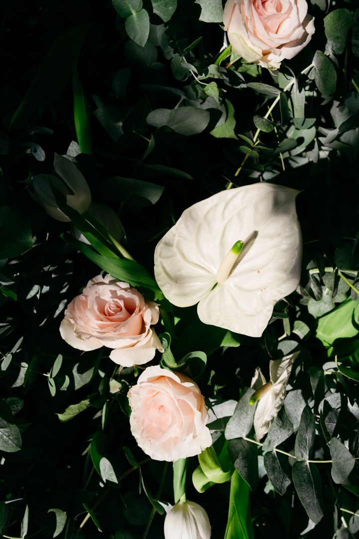 Delicate pink and white roses arranged with dark green foliage create an elegant floral display against a shadowy background.