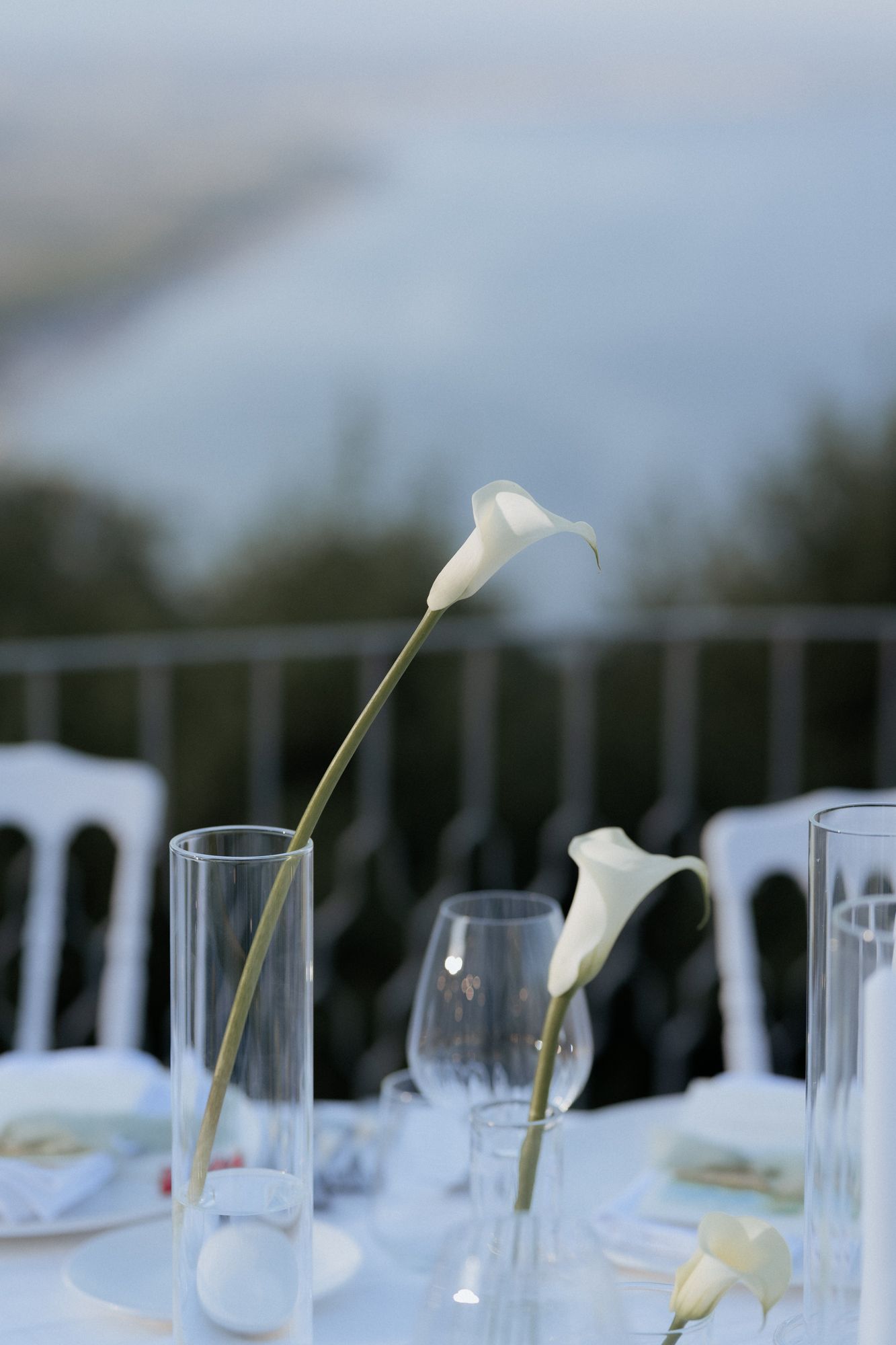 White calla lilies in glass vases line up on an outdoor reception table.