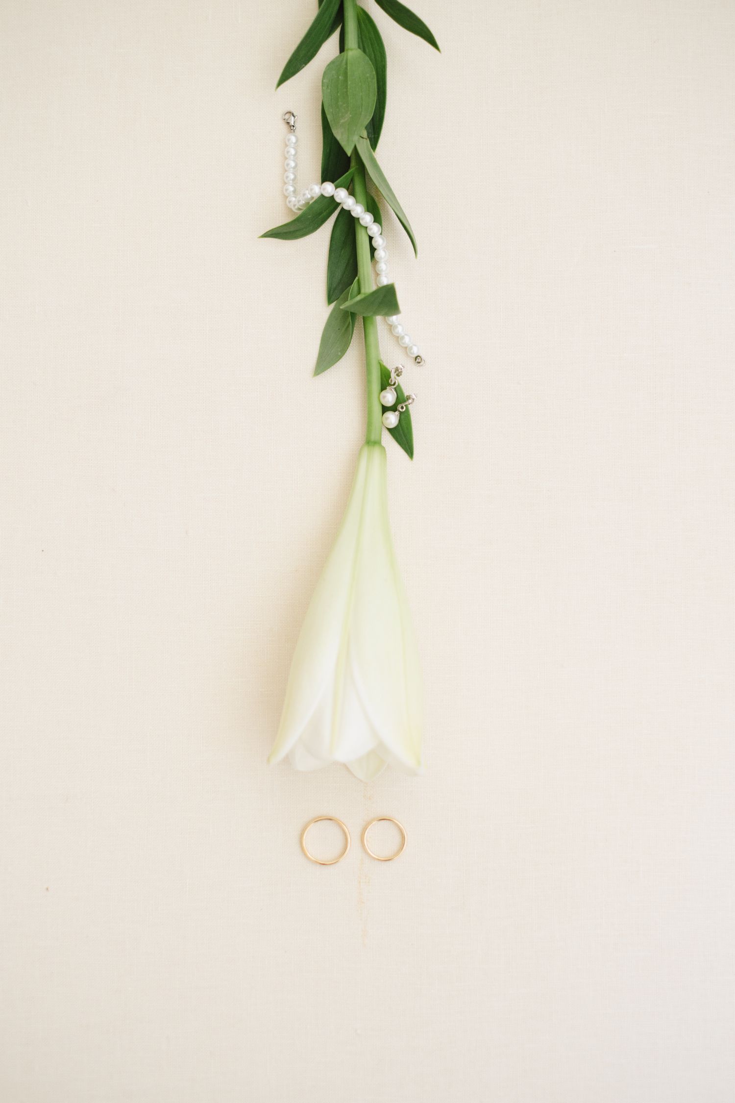 A sequence of photos showing a single white rose gradually disappearing from left to right on a light neutral background.