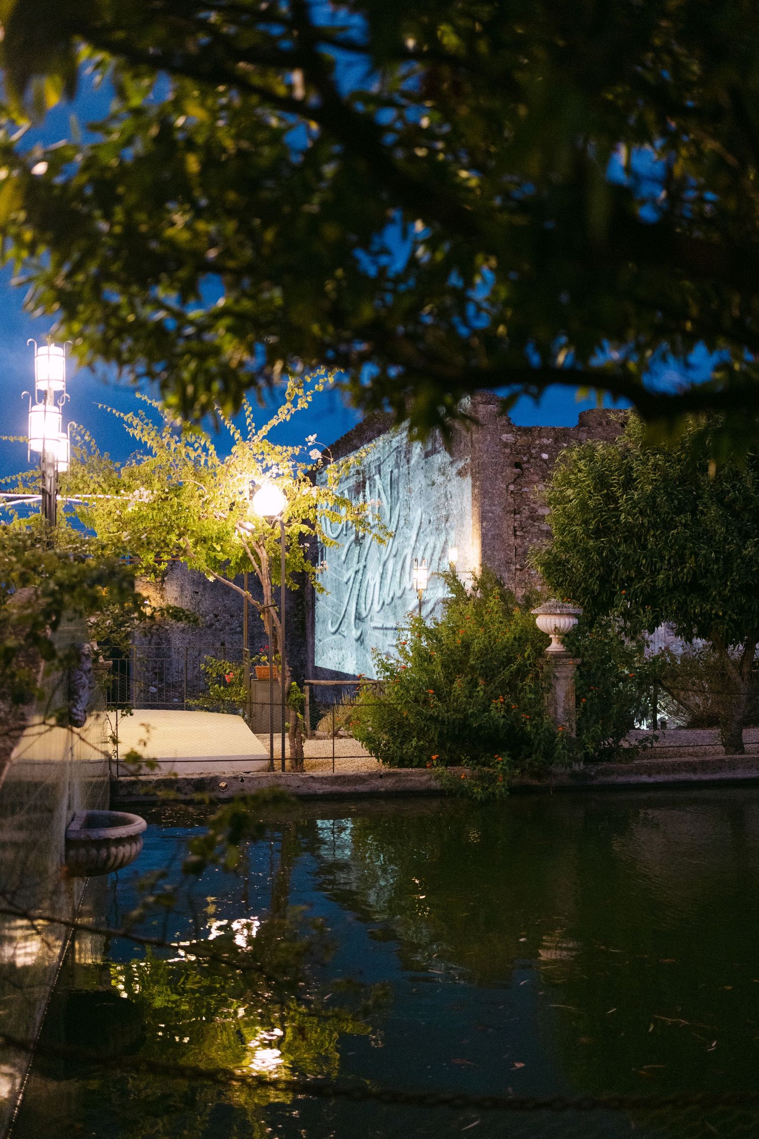Evening garden scene with illuminated trees and water reflecting in soft lighting.