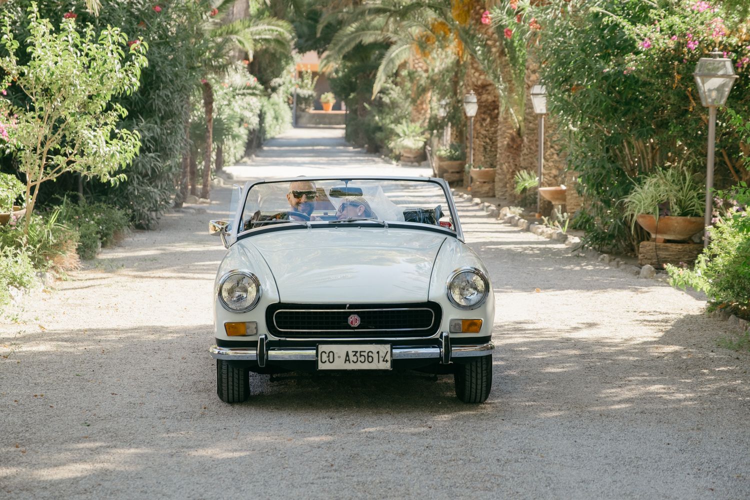 Classic silver sports cars lined up on a tree-lined driveway.