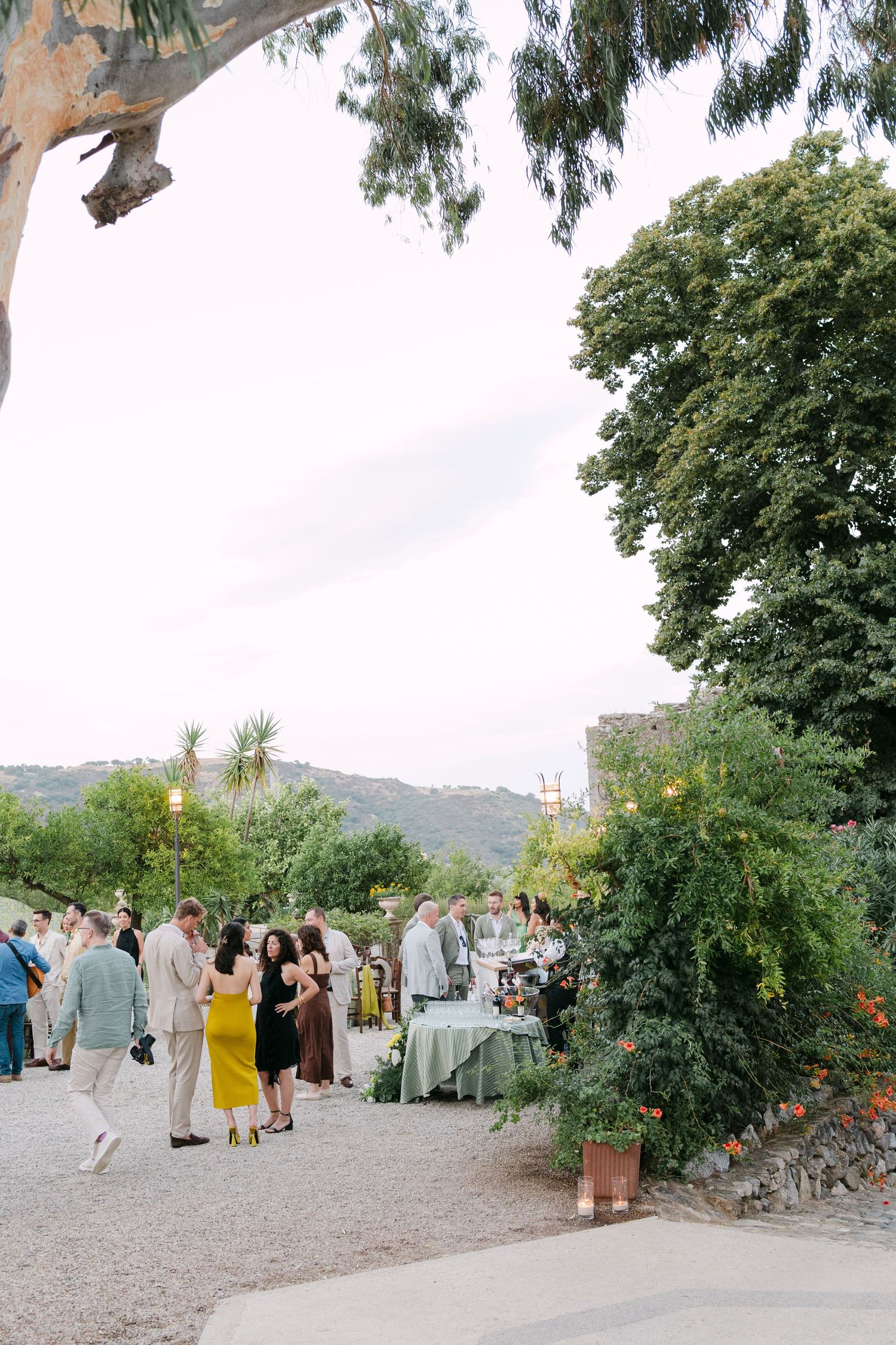 Wedding guests gather for an outdoor reception under trees at dusk.