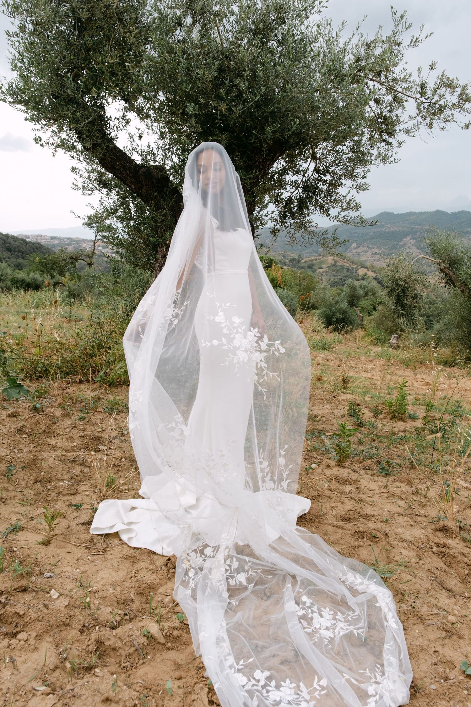 Delicate lace wedding veil flowing in the wind against a rustic countryside backdrop.
