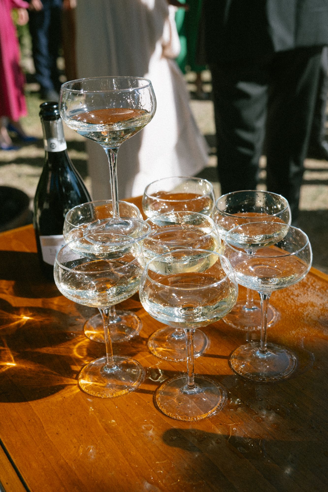 Multiple vintage champagne coupes arranged on a wooden surface in natural lighting.
