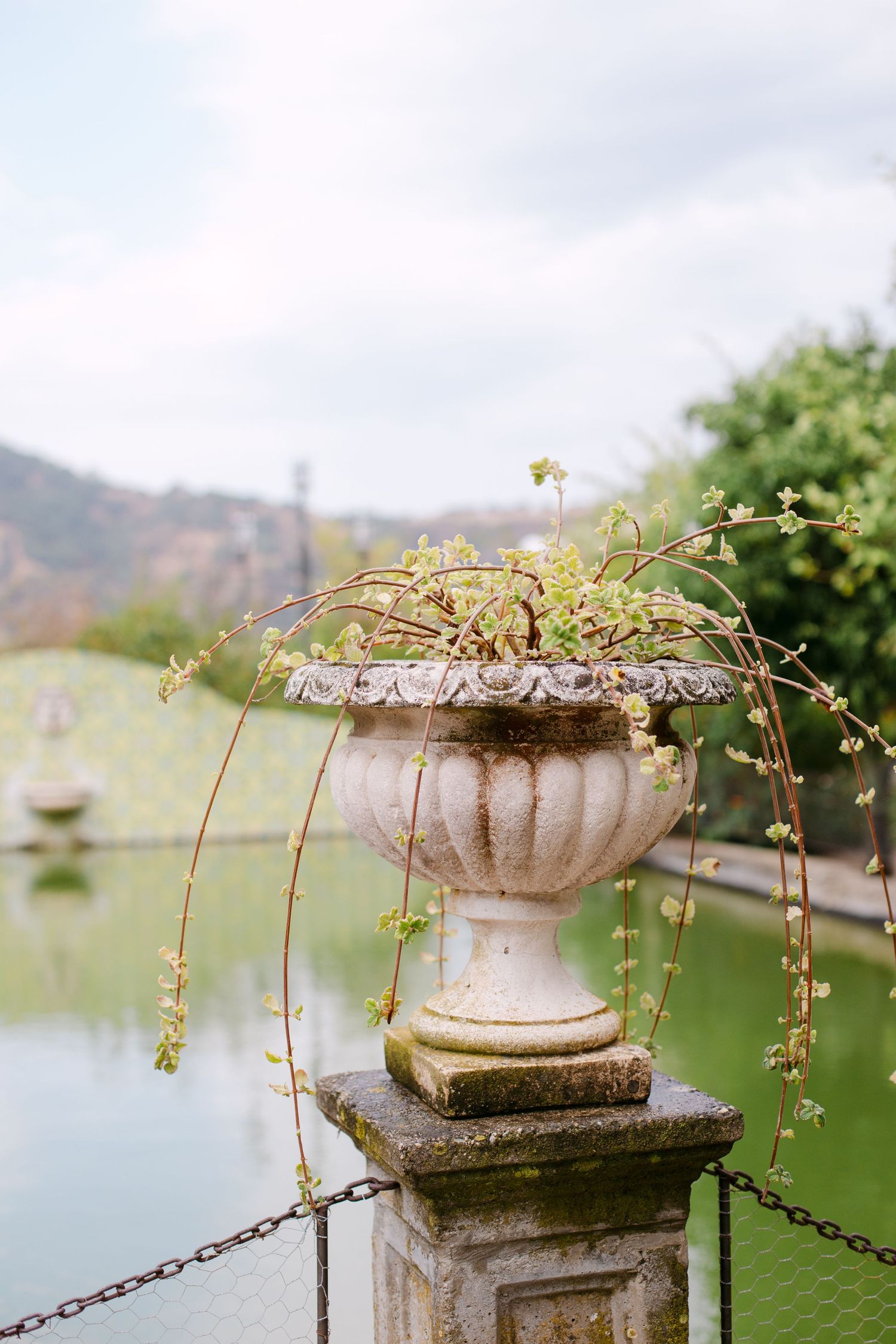 Stone planter with trailing vines sits on a decorative pedestal by a lake with mountains in the background.
