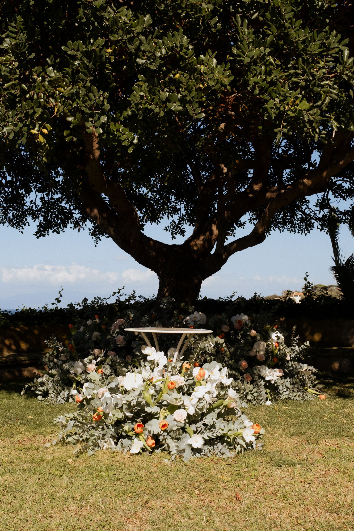 Large piles of discarded flowers and arrangements scattered under a mature oak tree on grassy ground.