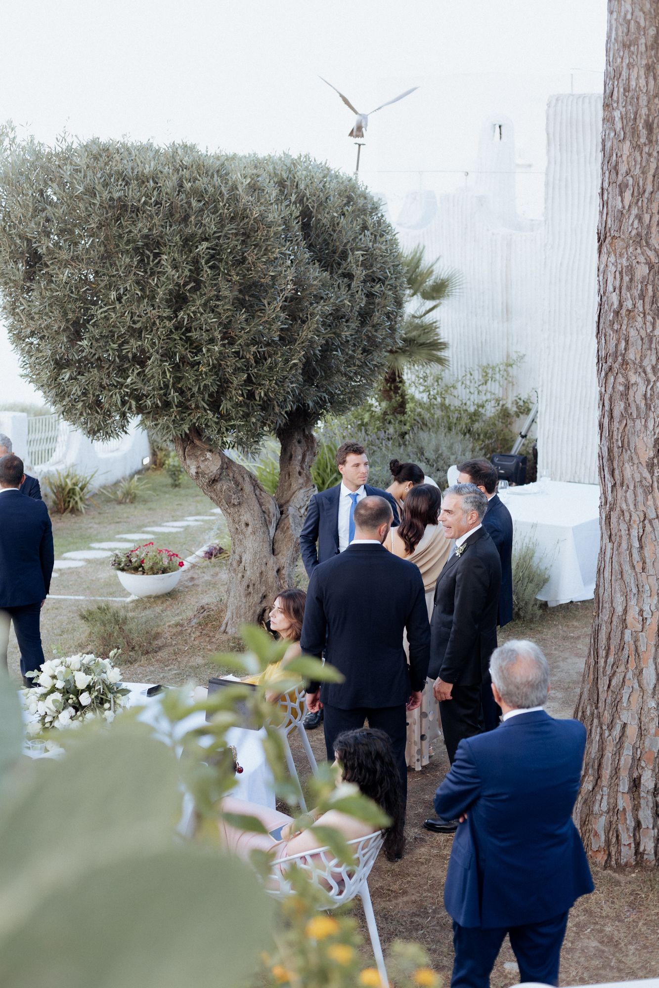 Wedding guests in formal attire gathered outdoors near an olive tree and white building.