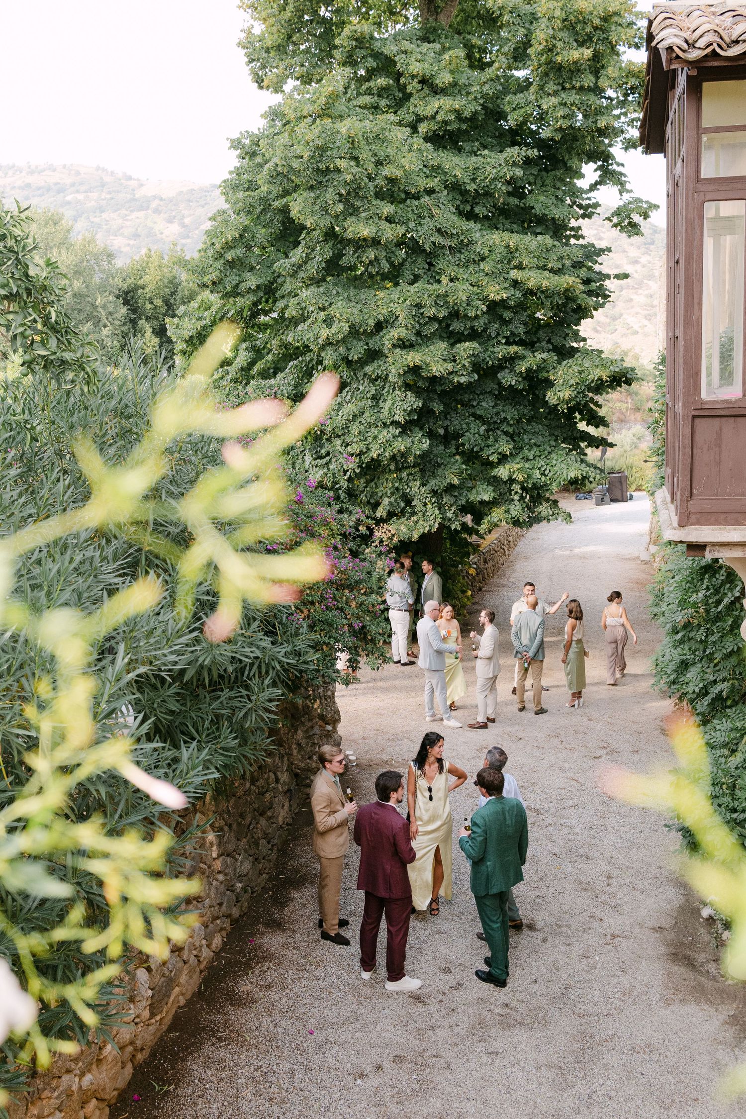 Wedding guests gather outdoors on a stone path surrounded by trees and historic architecture.