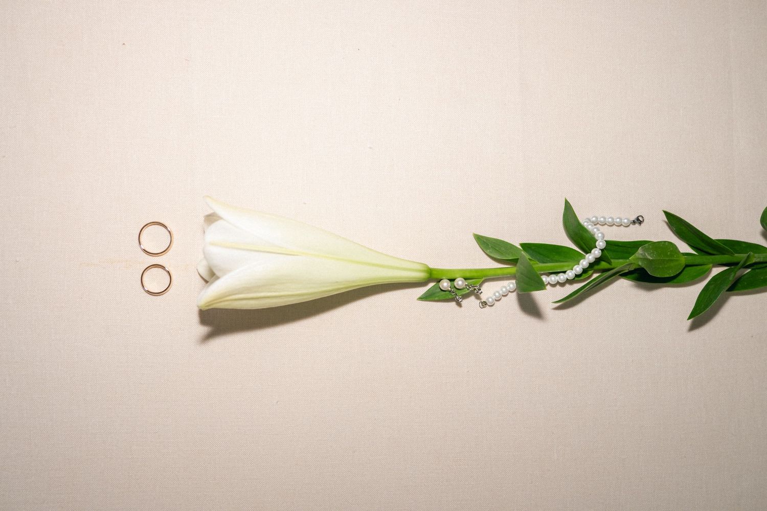 Fresh white lilies with green stems and leaves arranged in a row on a light beige background.