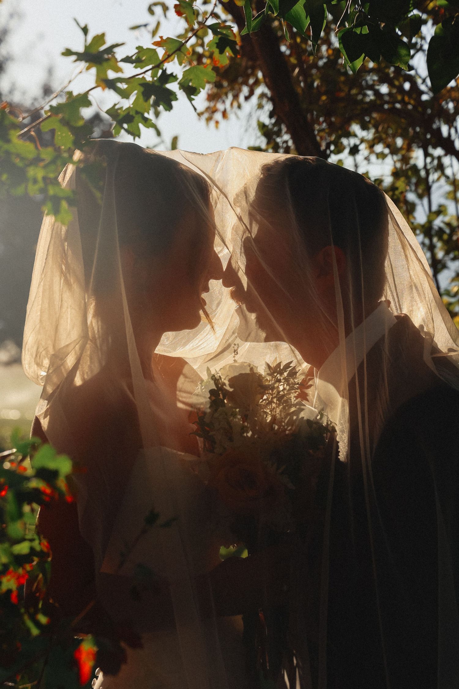 A romantic wedding silhouette of two figures under a veil, backlit by golden sunlight filtering through tree branches.