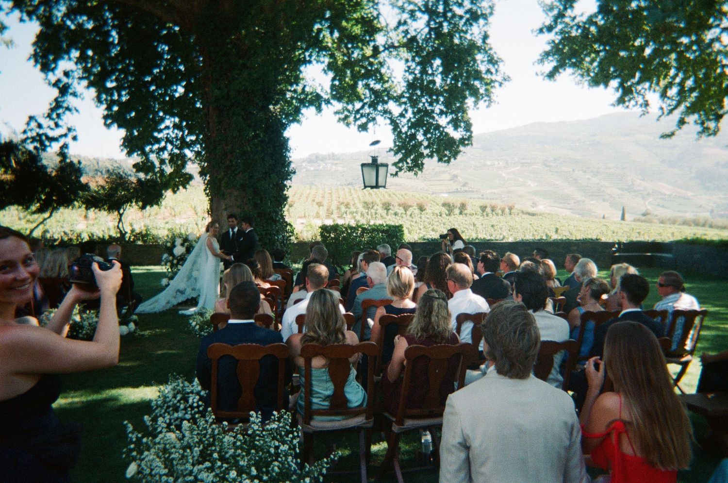 Outdoor wedding ceremony with guests seated under a tree, vineyard and mountain backdrop.