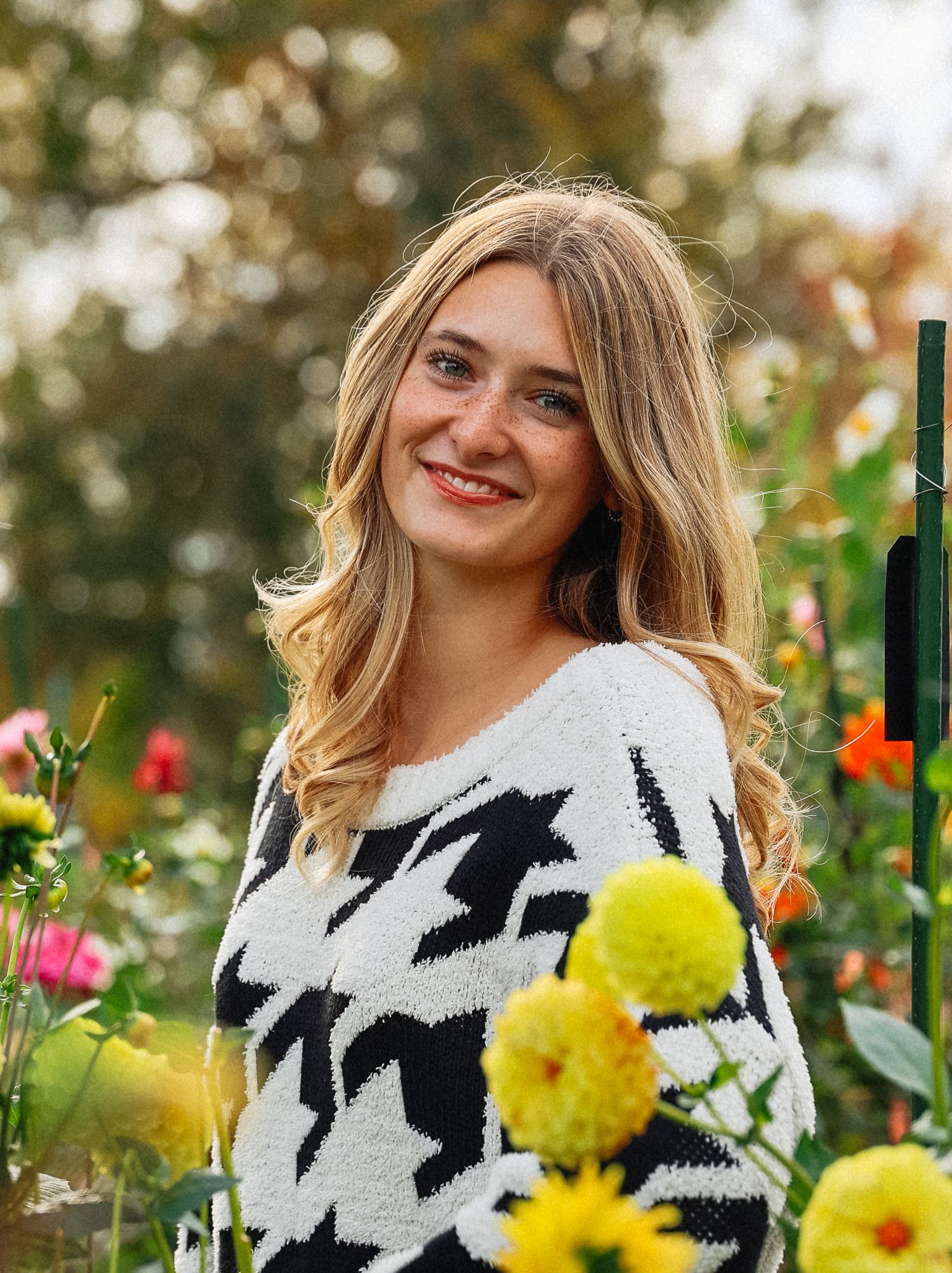 Person in black and white patterned sweater posing among yellow dahlias in a garden.