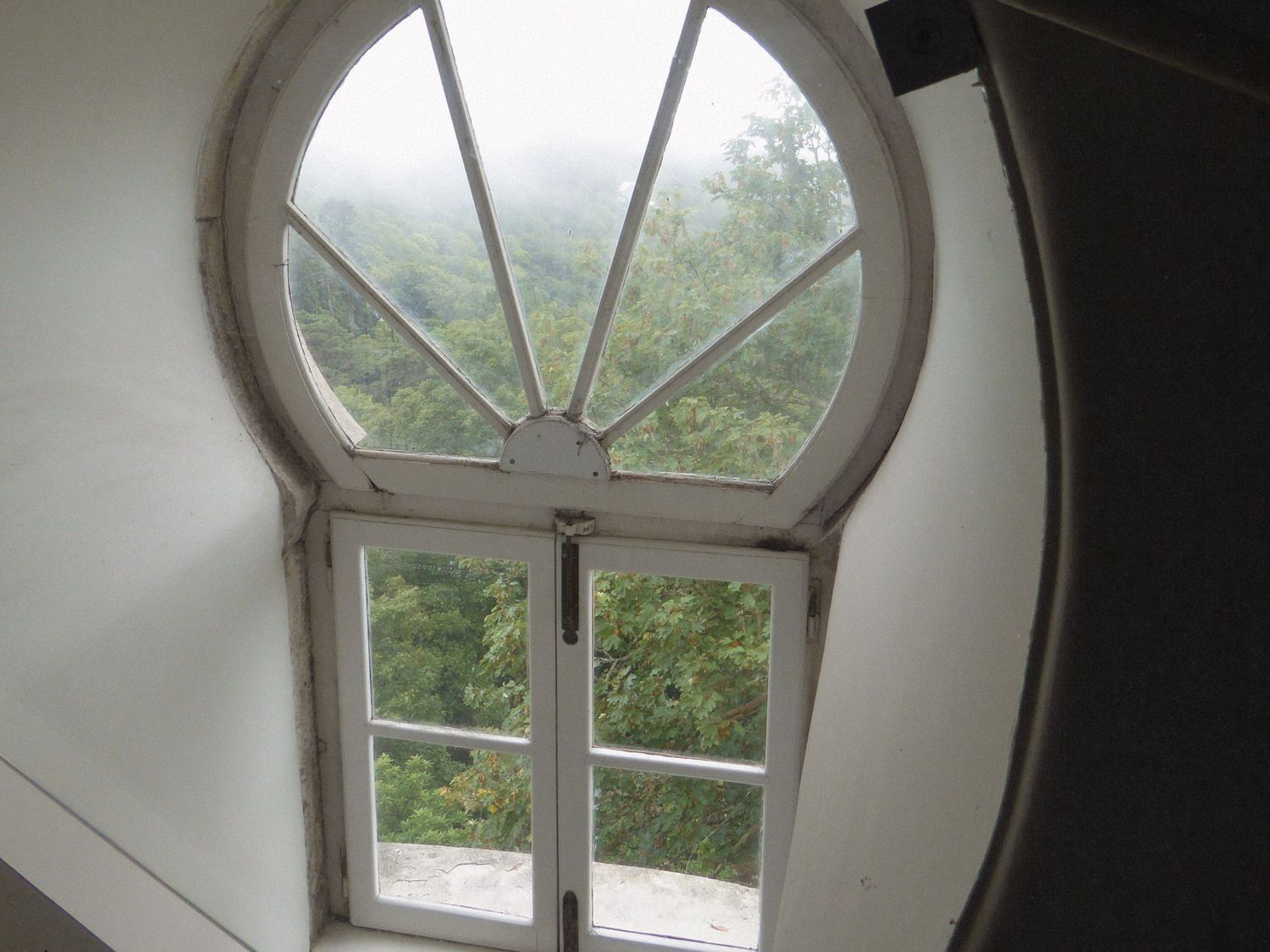 Arched white window with fan transom overlooking lush green forest trees on a misty day.