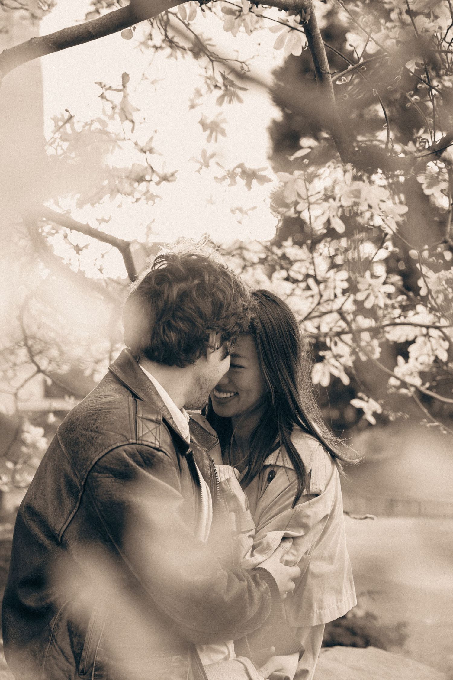 A romantic sepia-toned photo series showing a couple embracing under blooming cherry blossom trees.