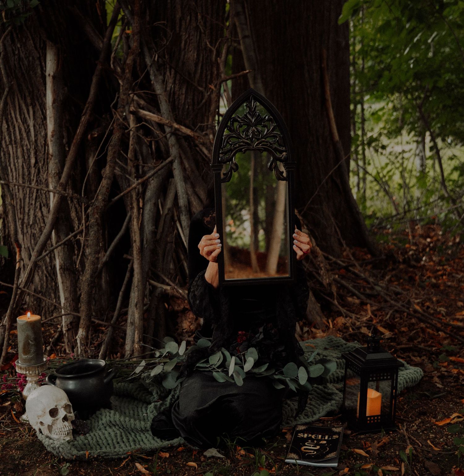 A cozy woodland pathway illuminated by hanging lanterns among trees and ferns at dusk creates a magical atmosphere.