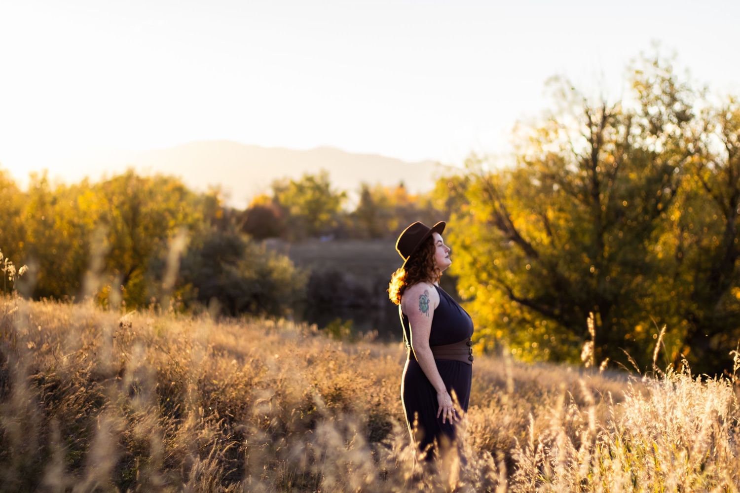A golden sunset illuminates tall grass and wildflowers in a serene autumn meadow.